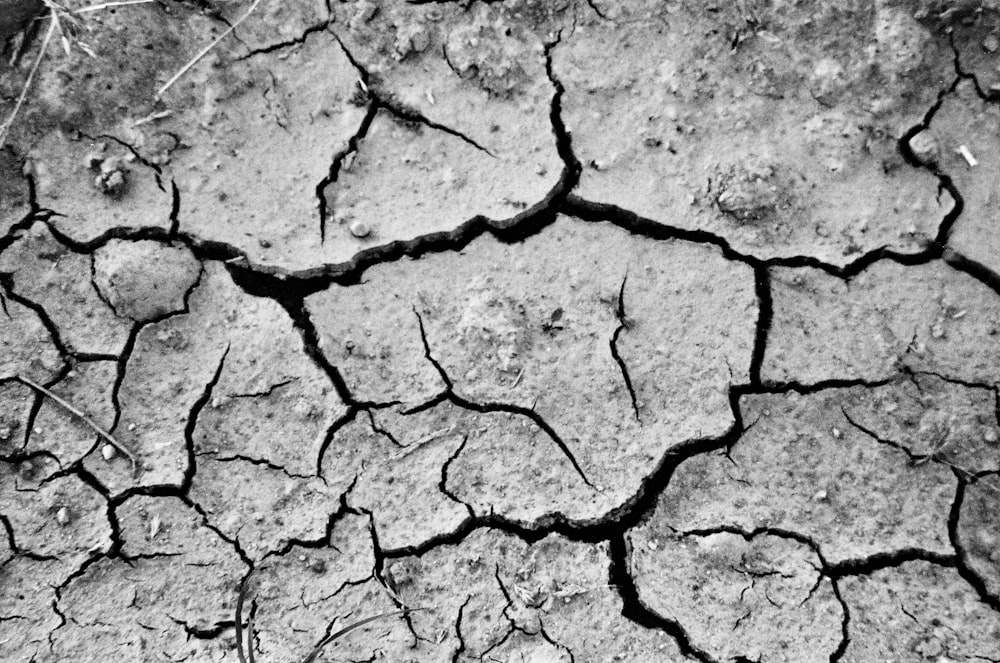 a cracked dry ground
