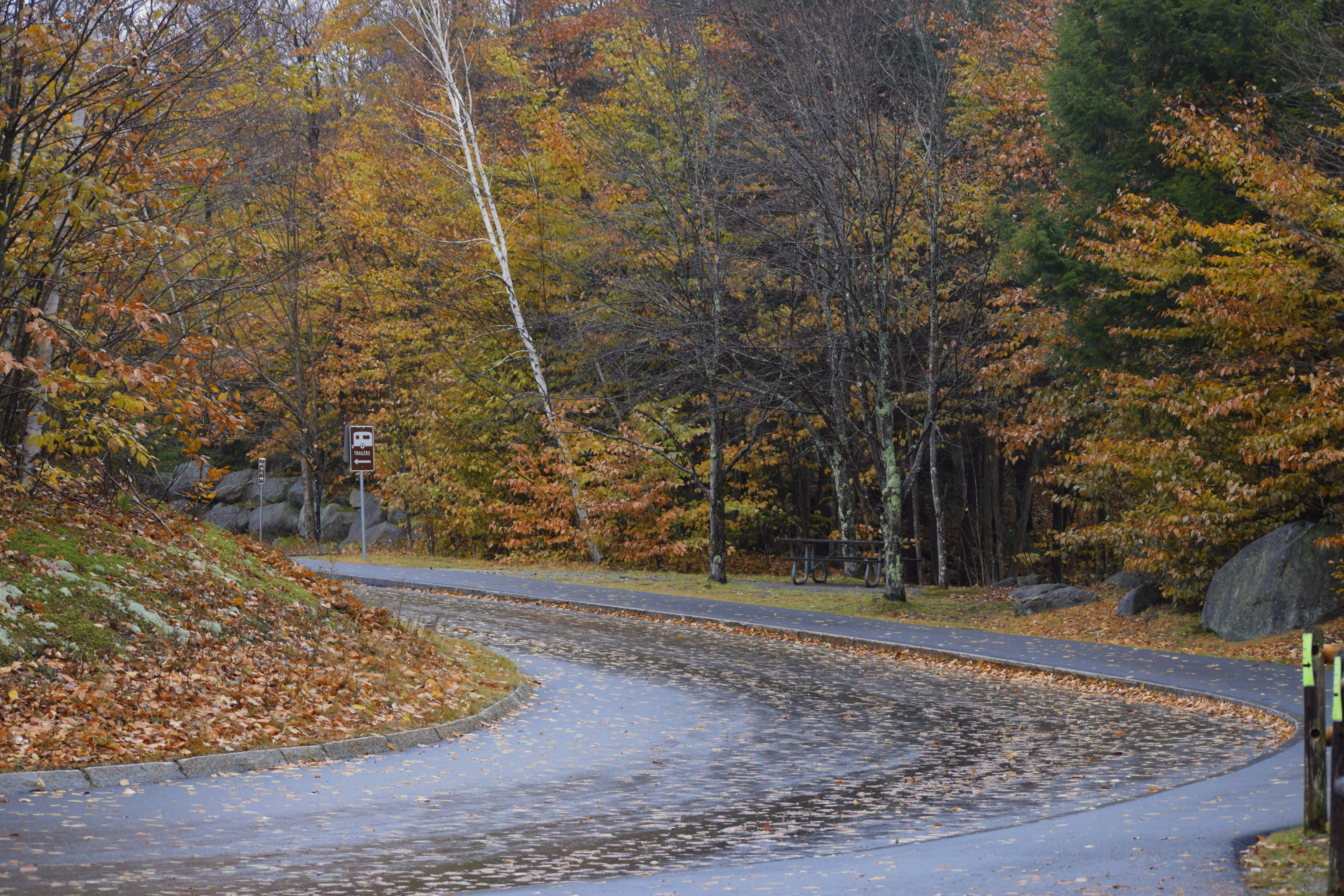 Photo by praswinprakashan