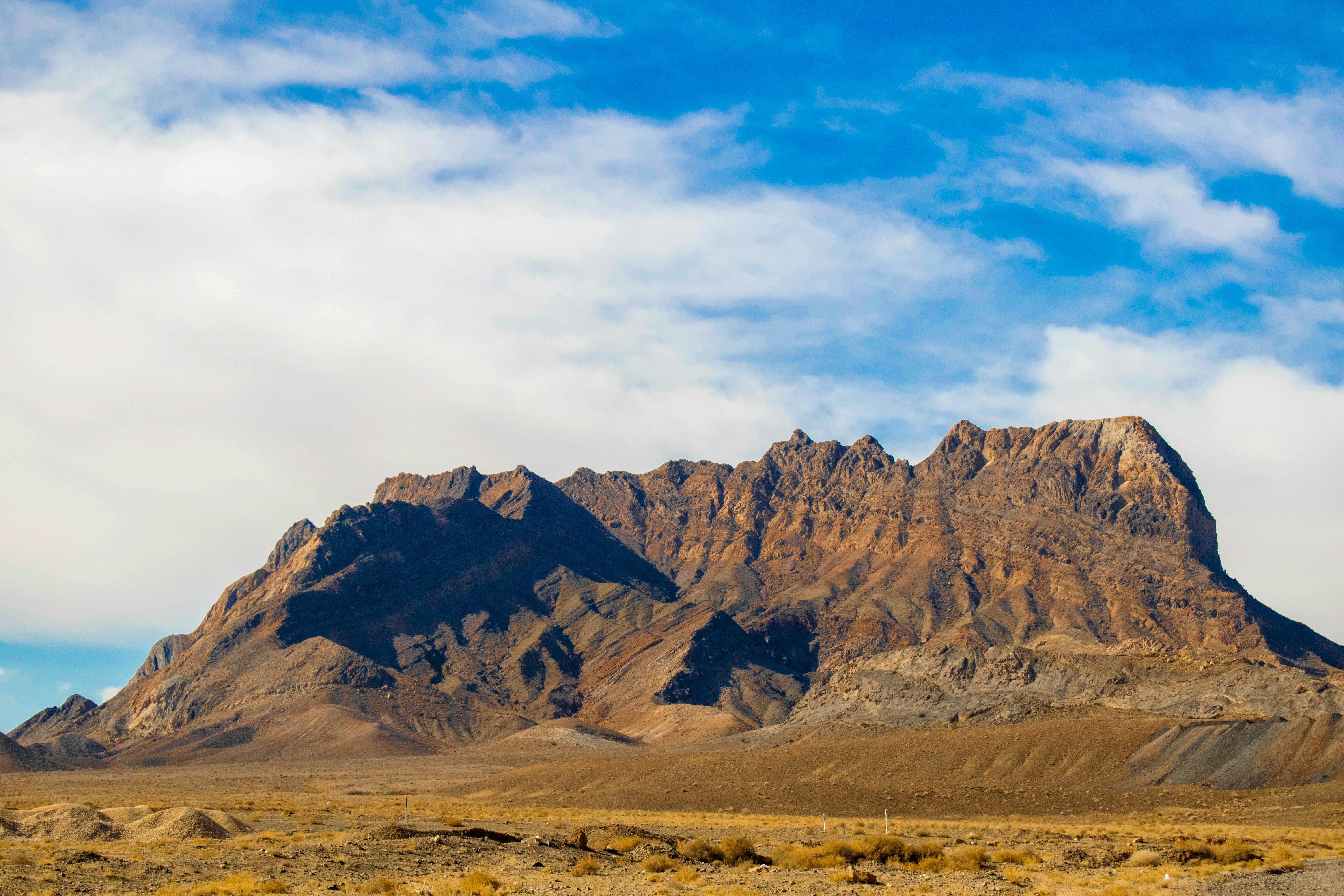 Photo by mehranredrose