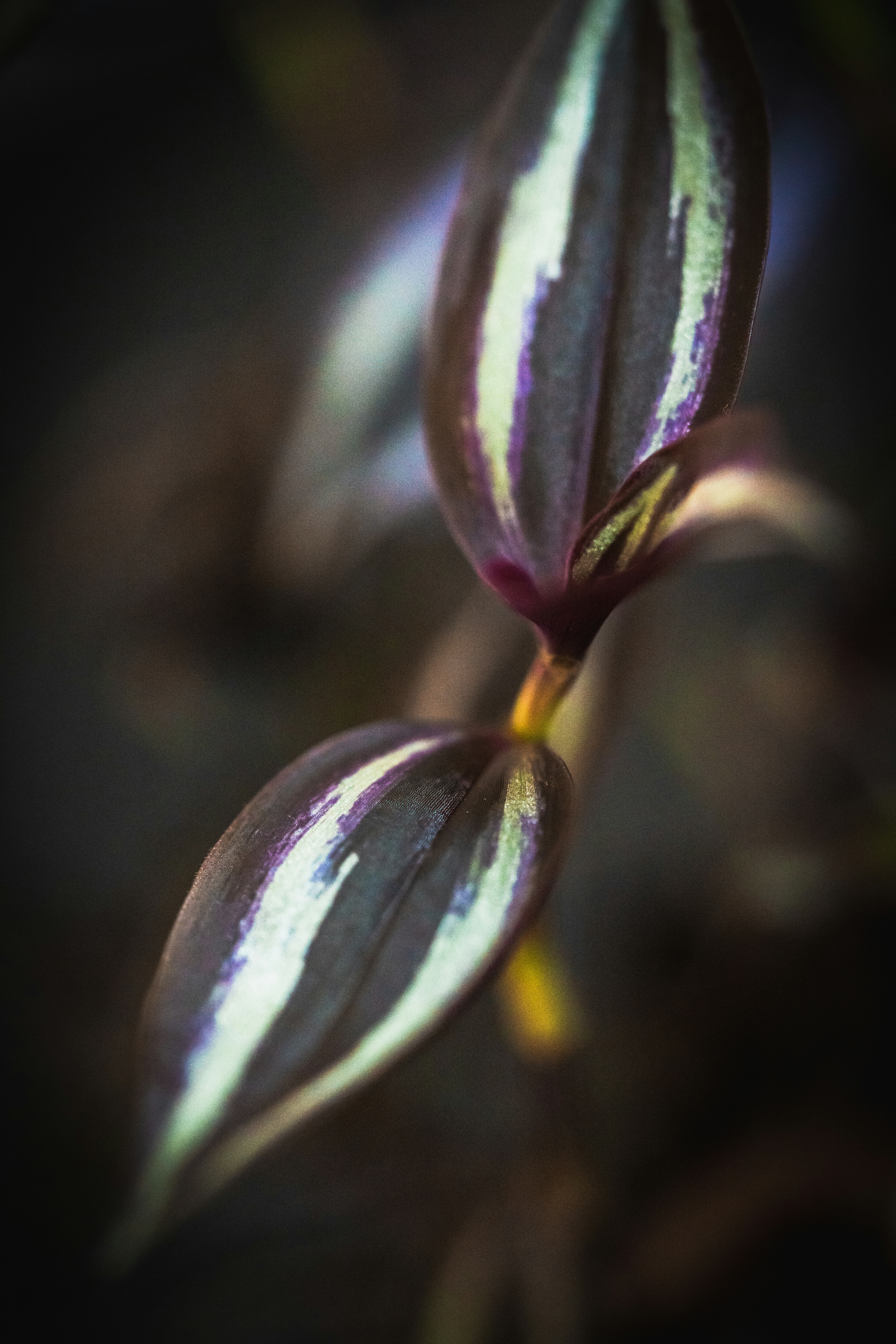 Photo by dougvillalos