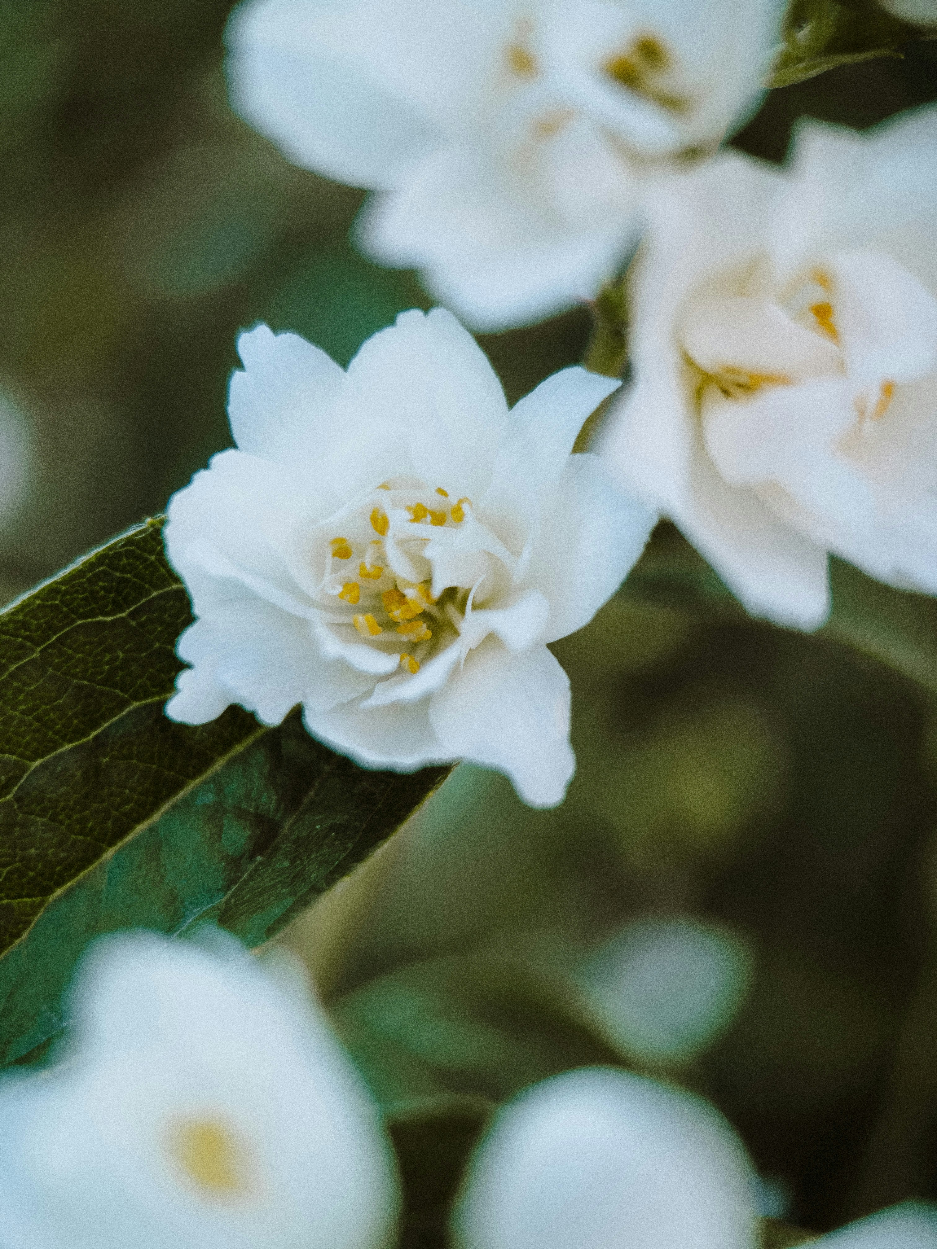 Photo by svetlanasafety