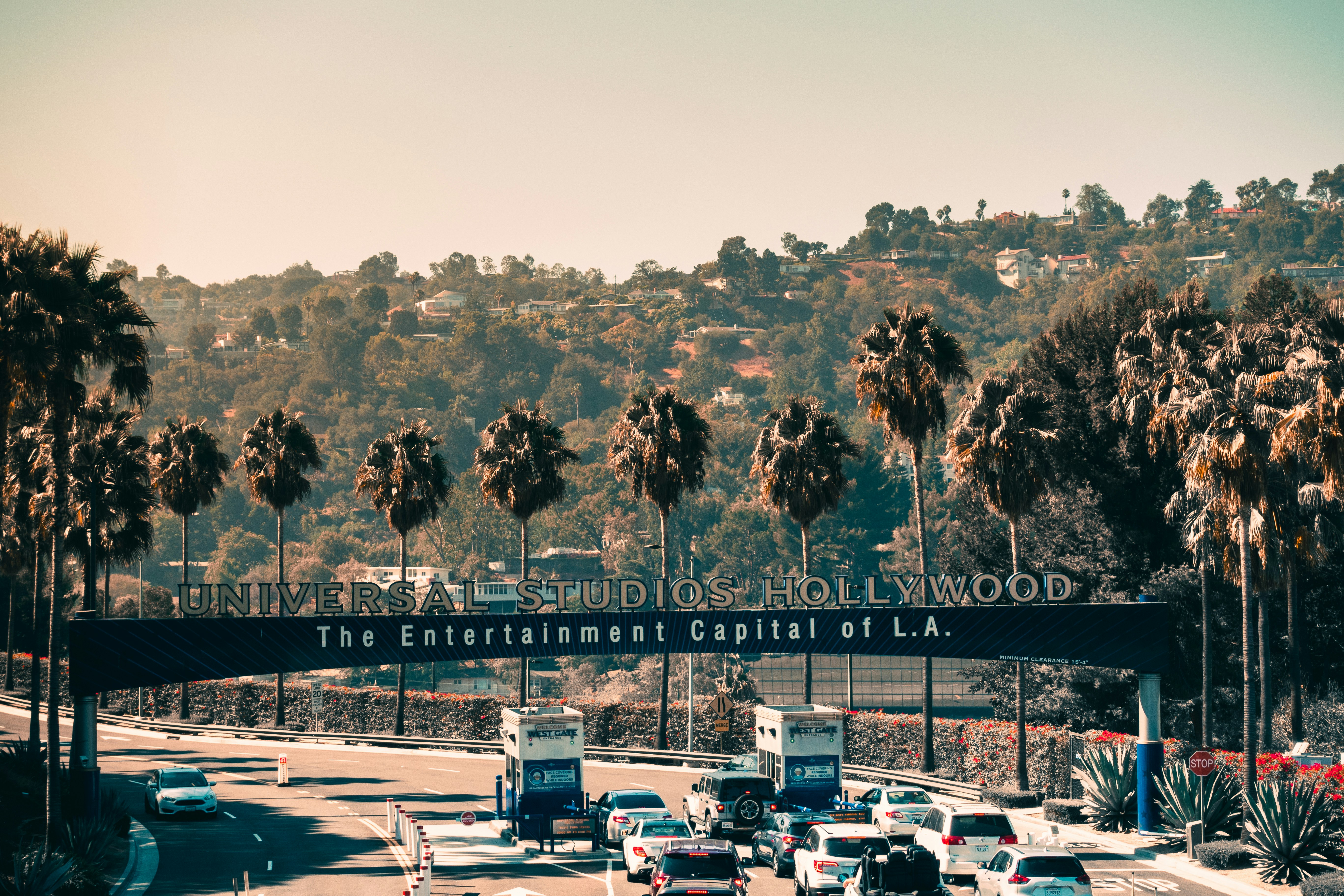 Packaging Walking Content for Studios: What Vice Media and Disney+ Want from Creators