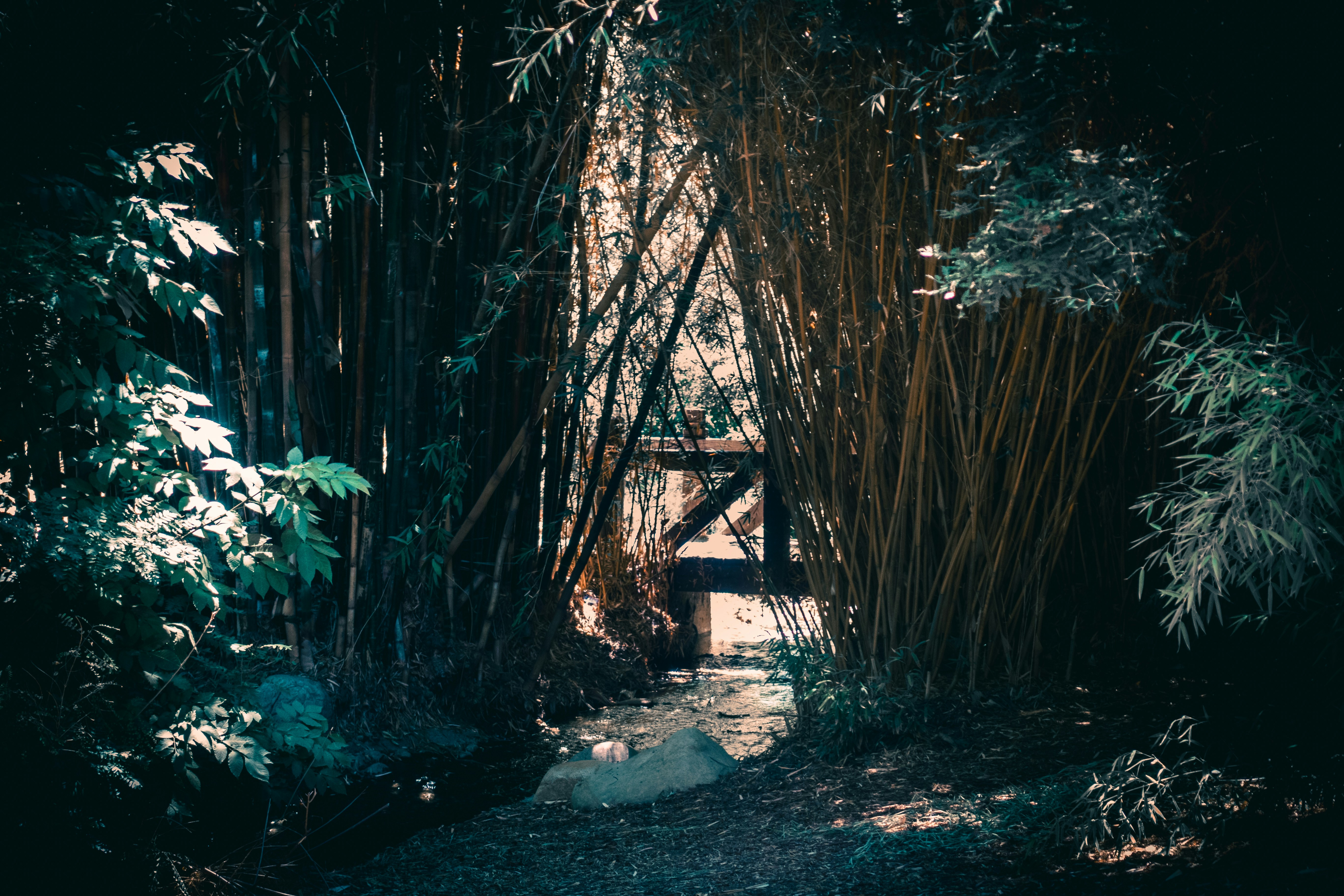 Photo by dougvillalos