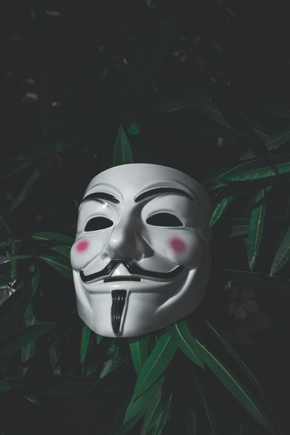a mask on a plant