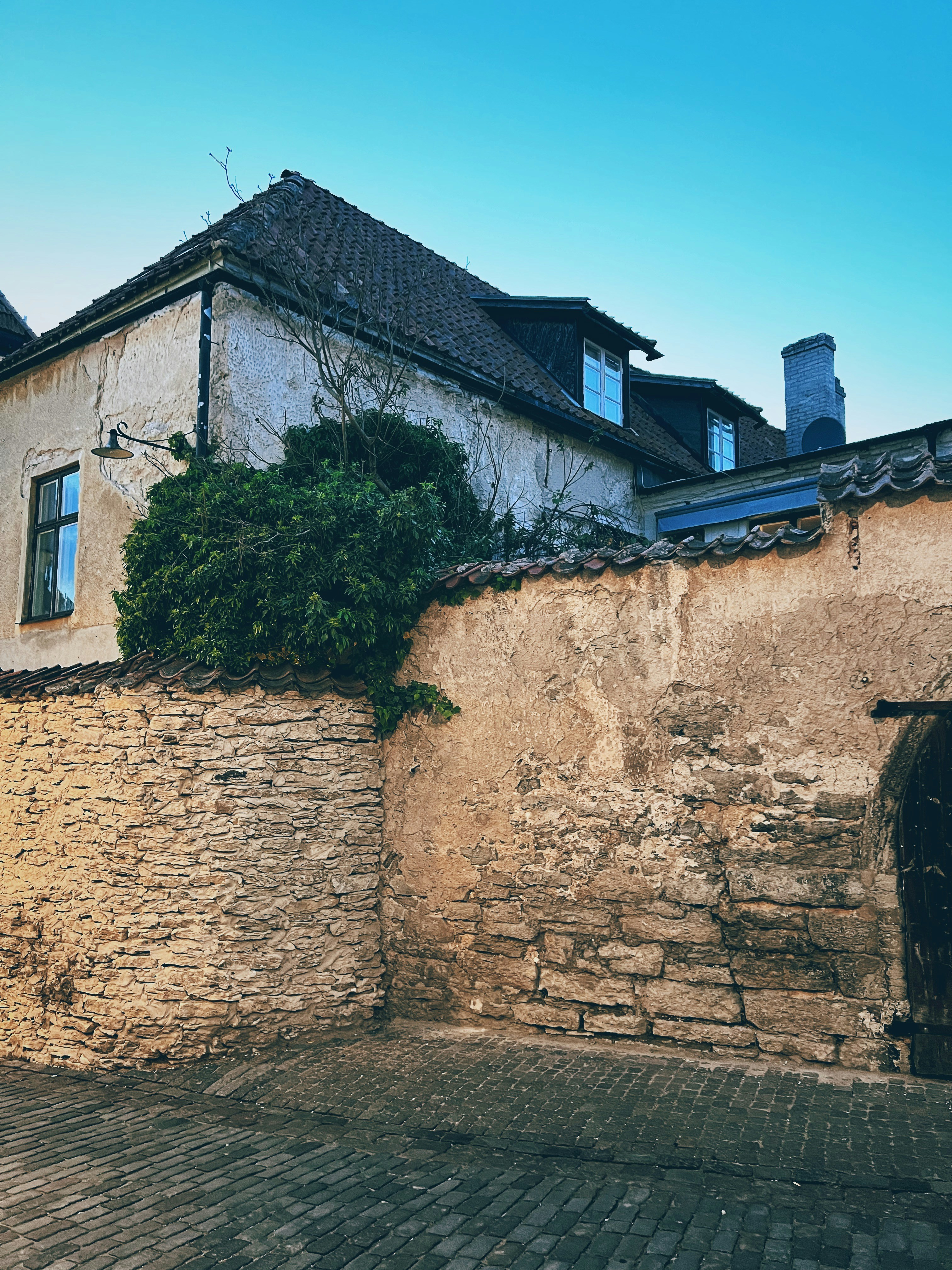 Photo by magnusjonasson