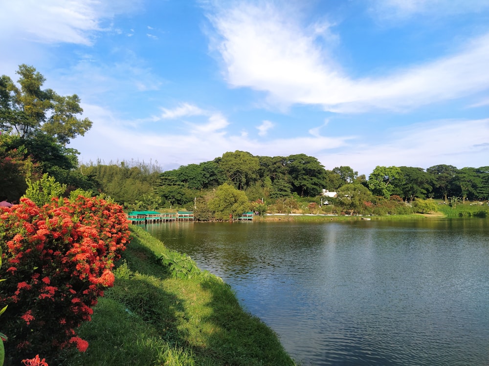 a river with a bridge and flowers