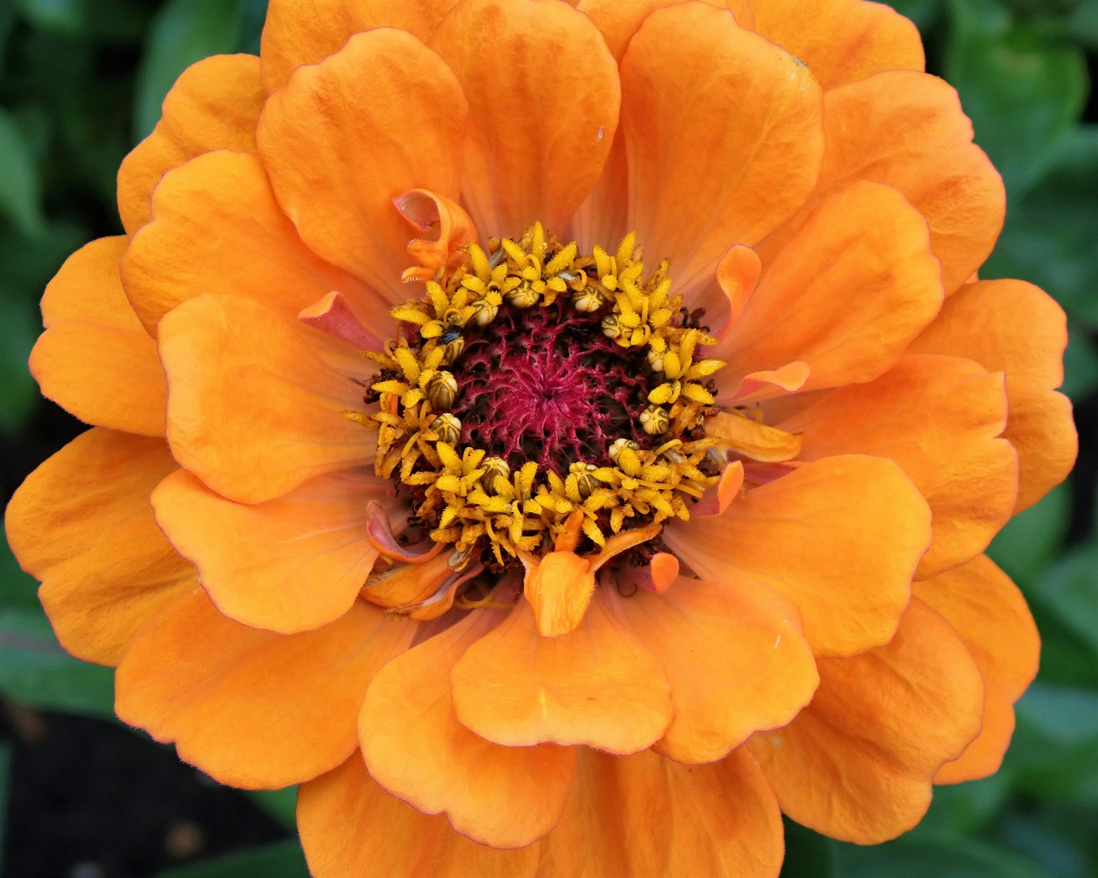 Photo by mostlymarvelling