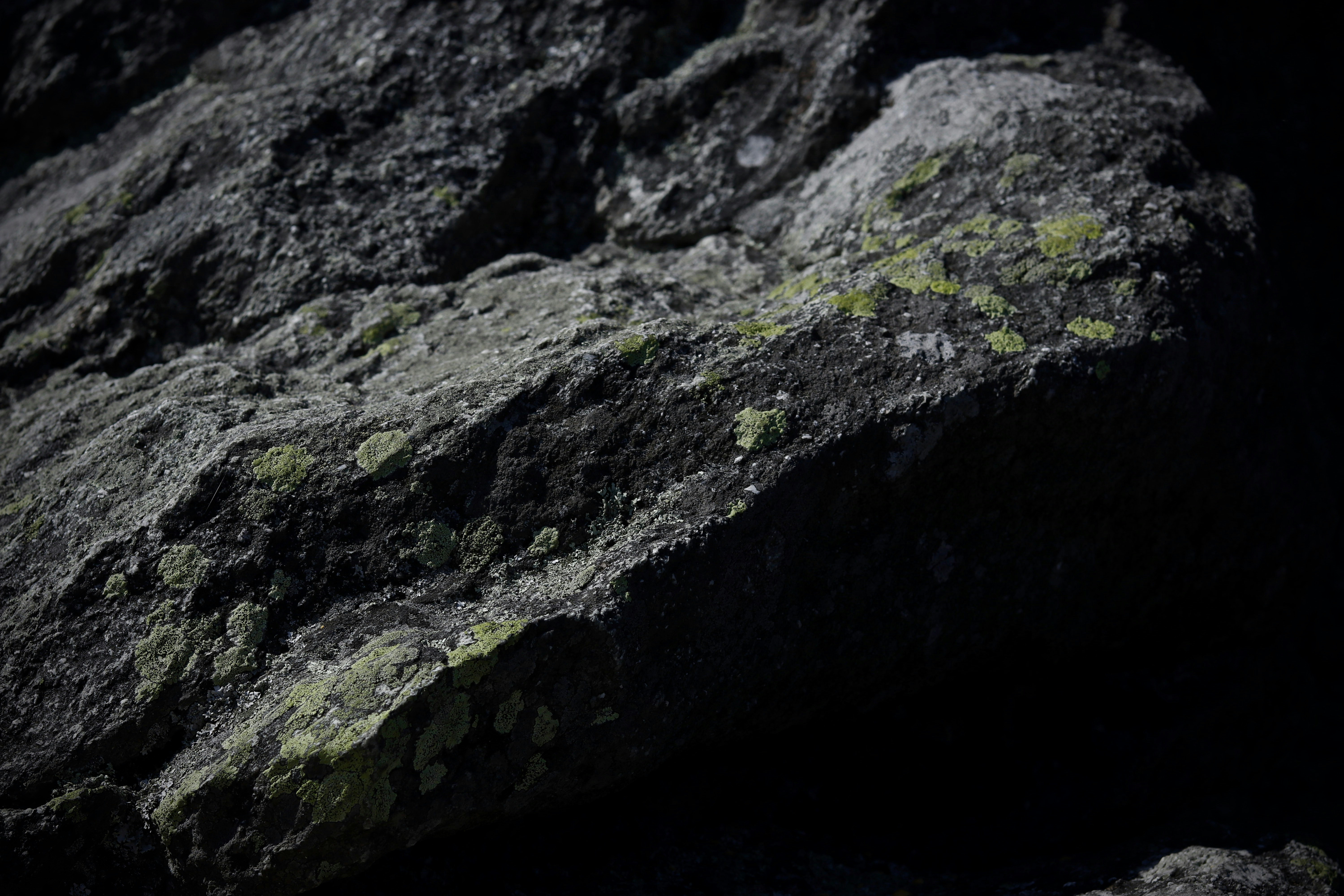 Photo by taylor_hammersla