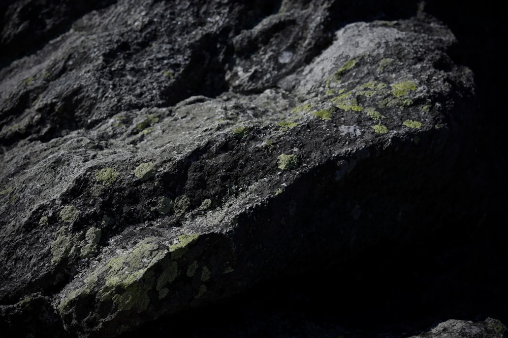 a close-up of a rock