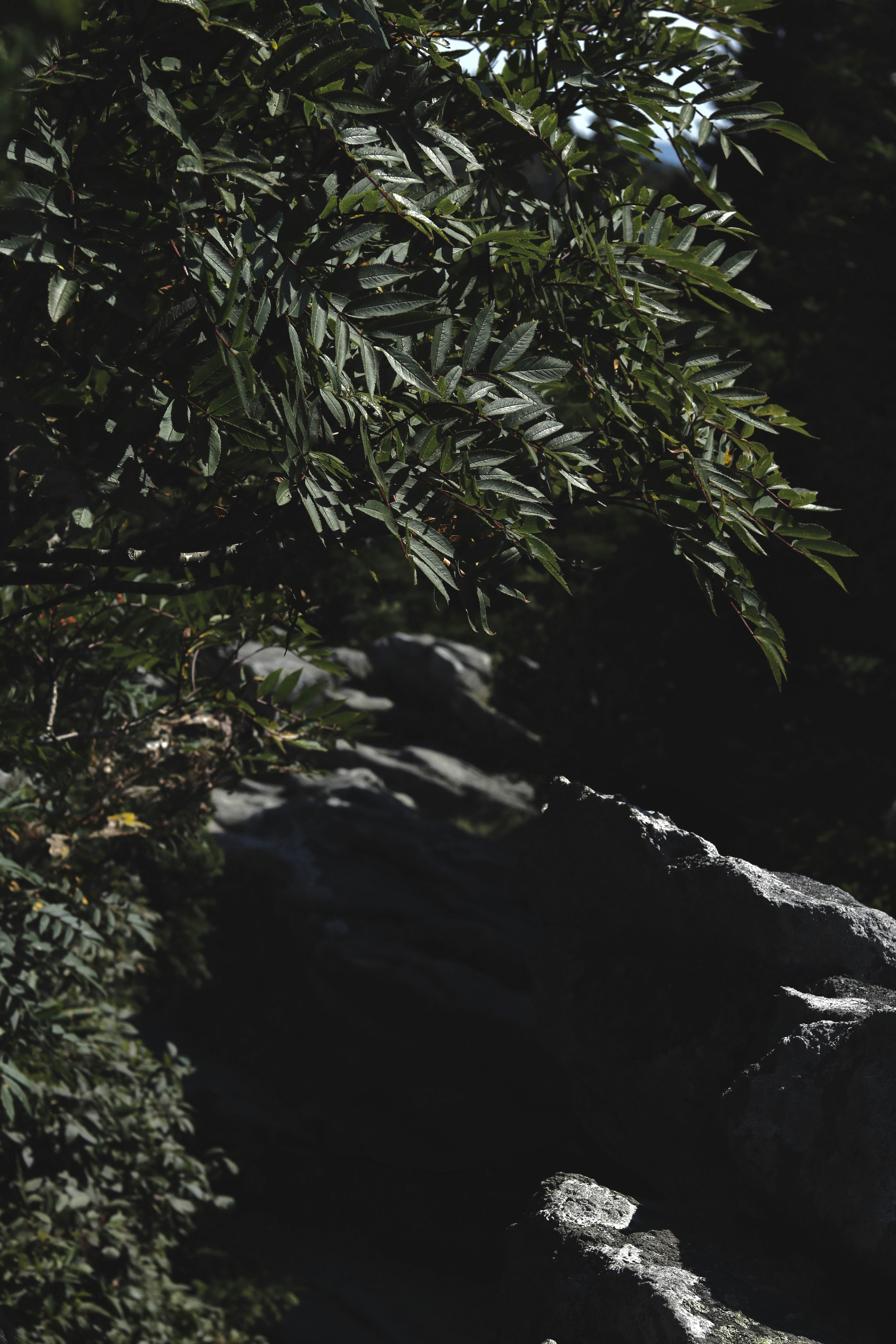 Photo by taylor_hammersla