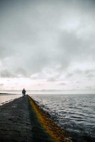 a person walking on a stone path by the water