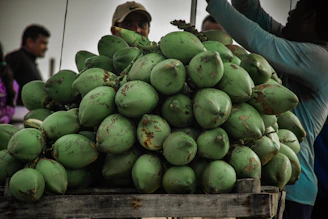 a person holding a large pile of watermelons