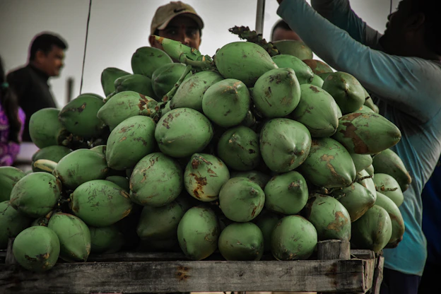 a person holding a large pile of watermelons