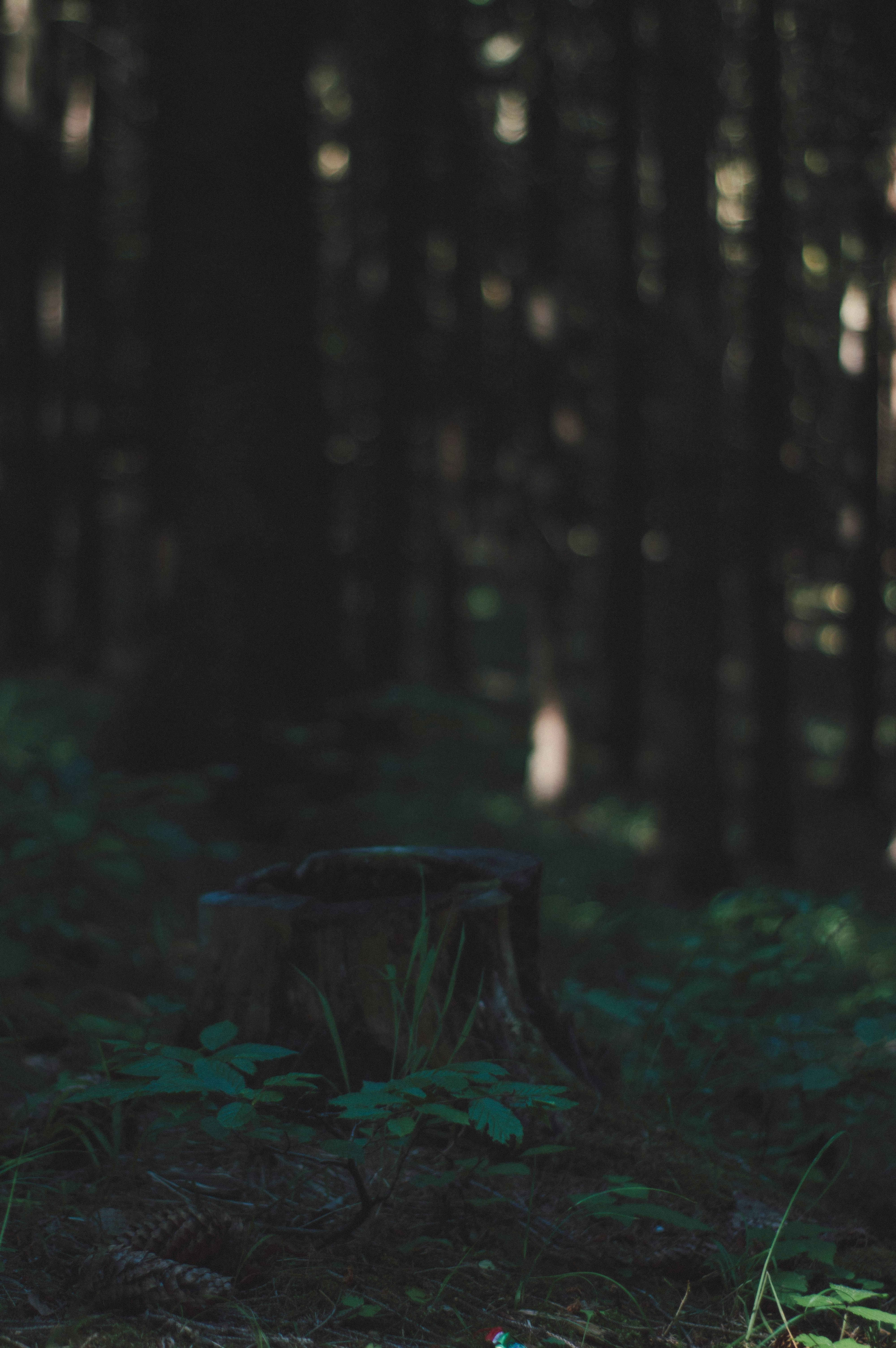 Photo by alex_emanuel20