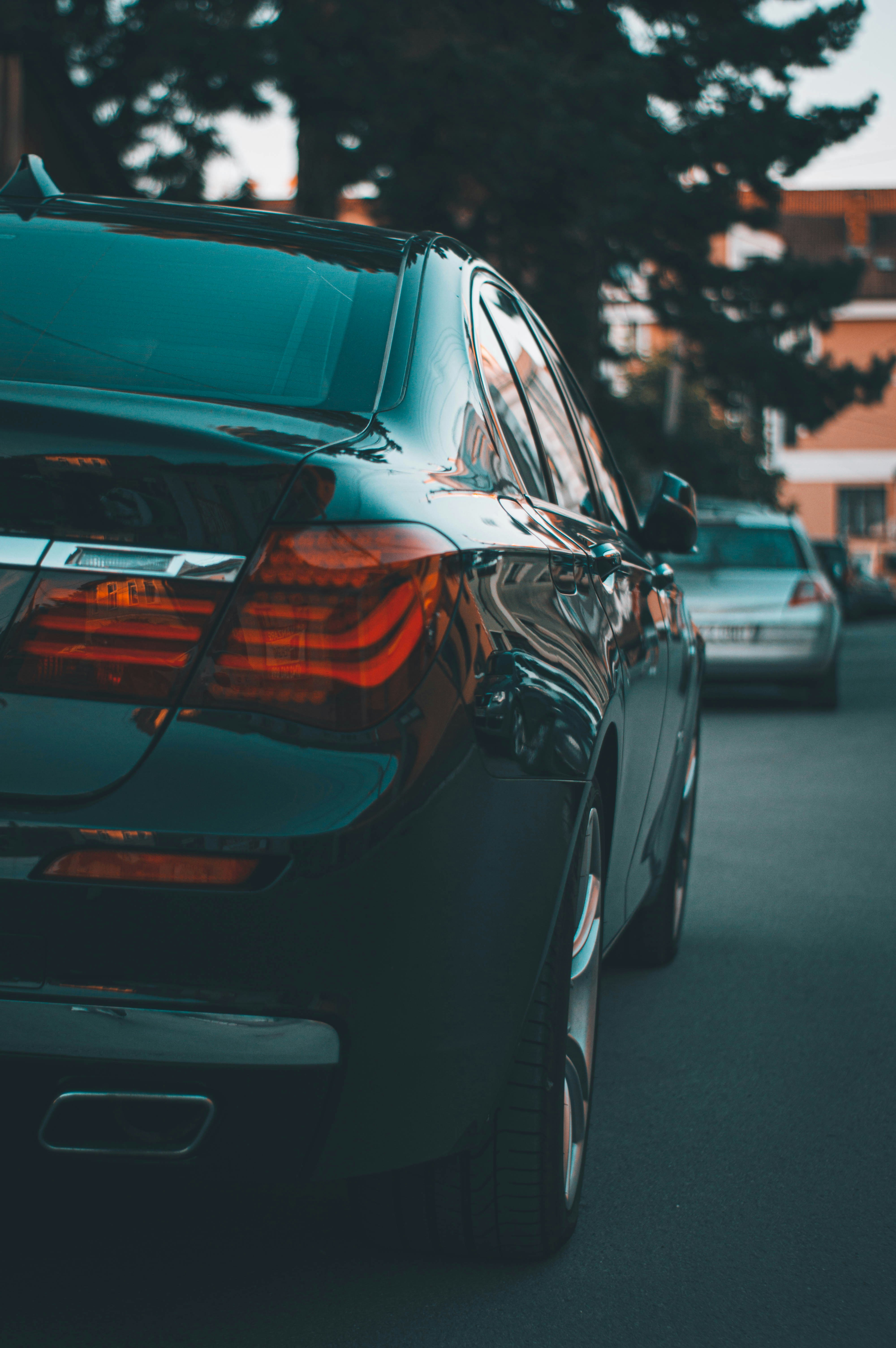 Photo by alex_emanuel20