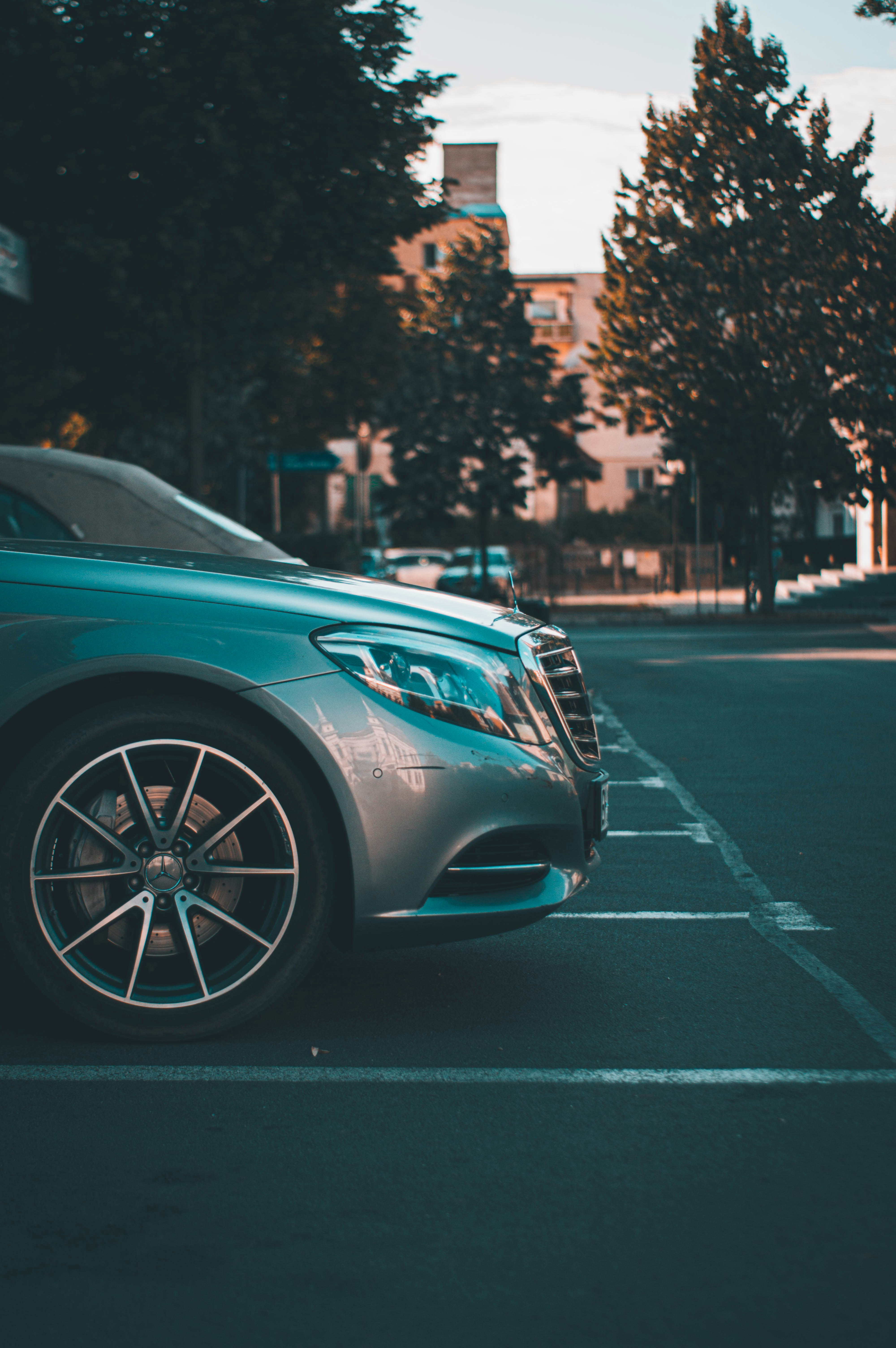 Photo by alex_emanuel20