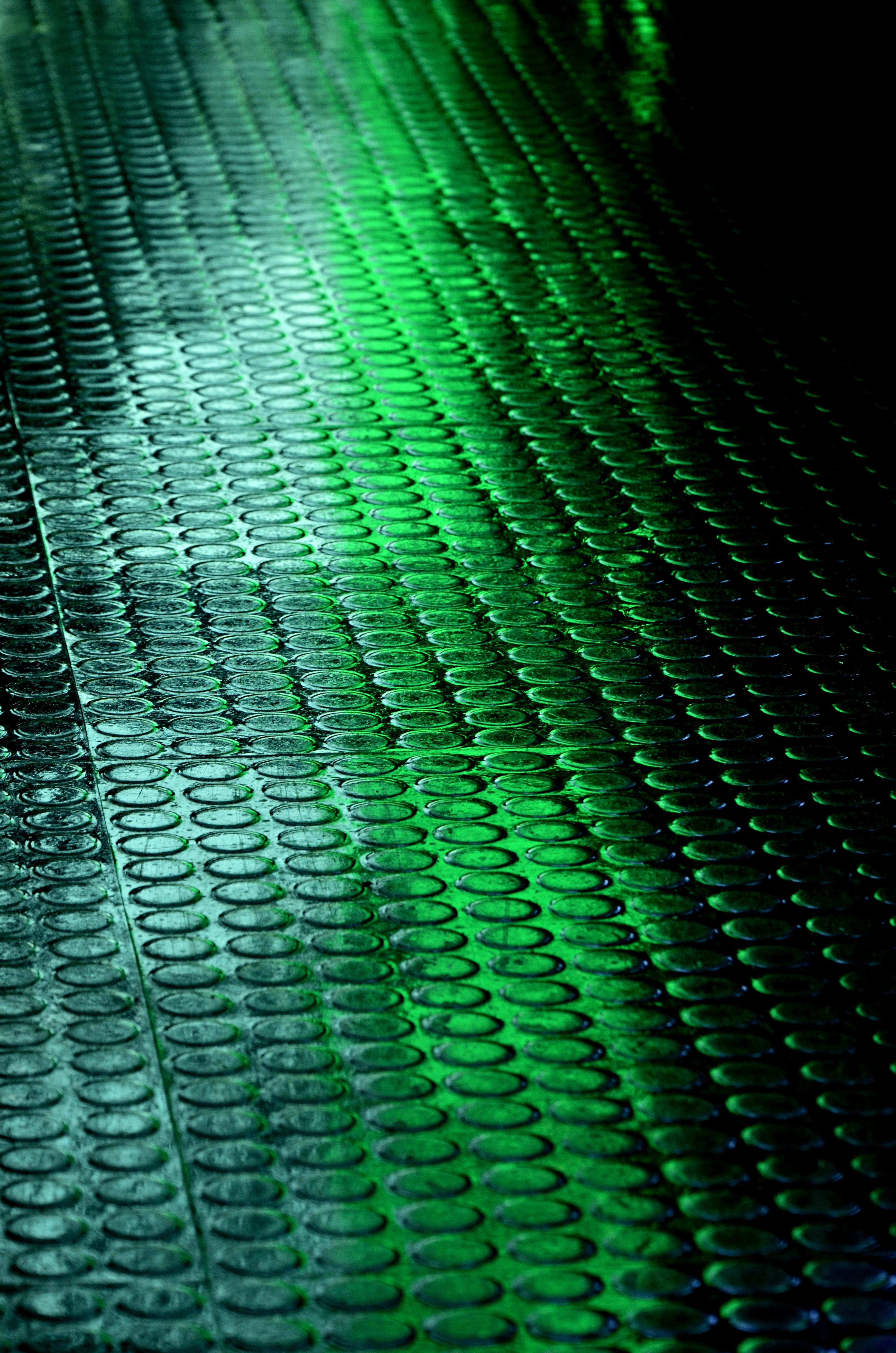 Photo by charleschina