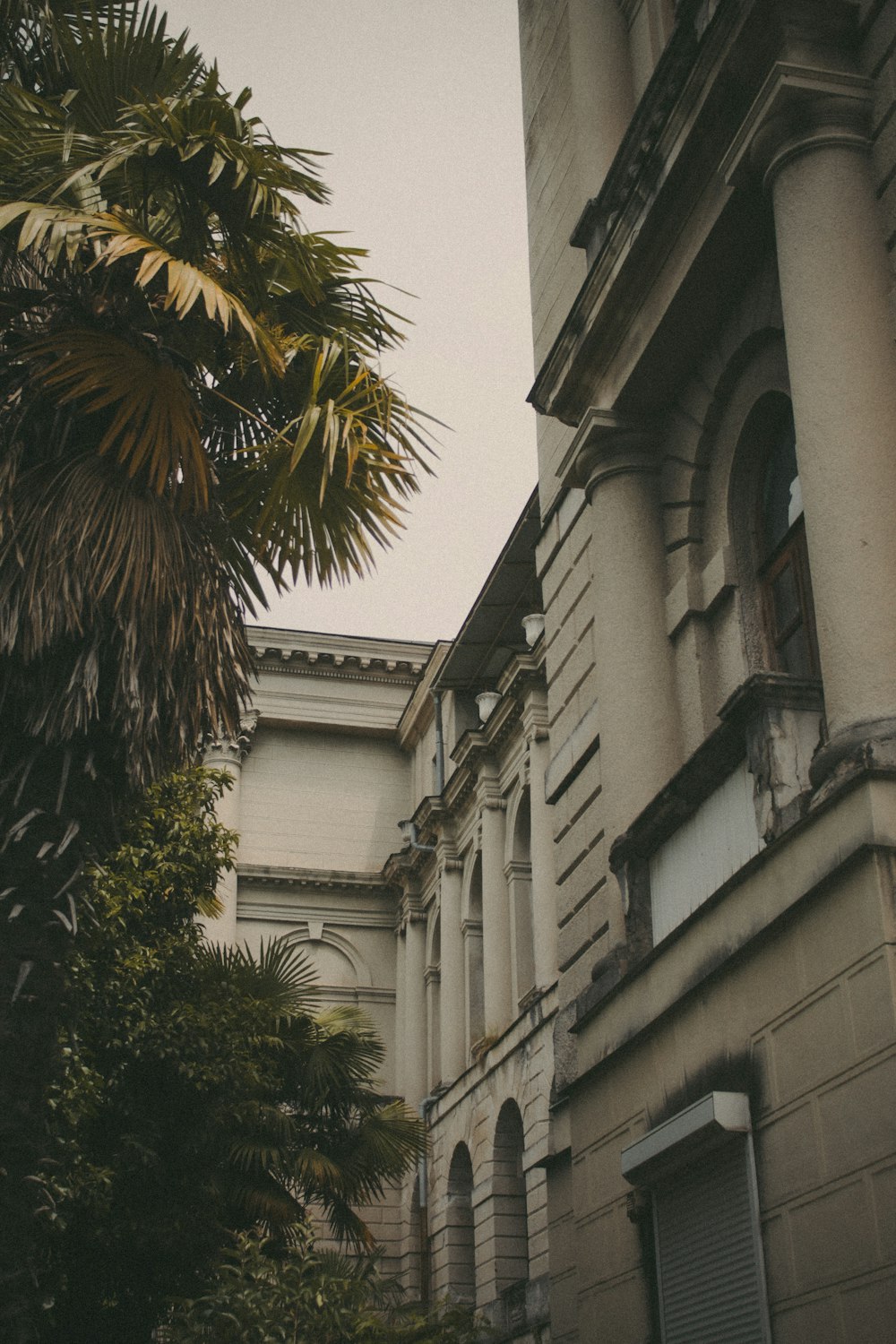 a building with palm trees