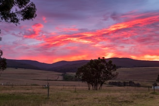 A vibrant landscape painting featuring a sunset over rolling hills.