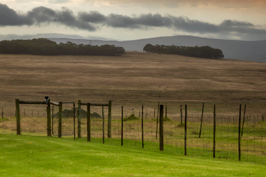 Shattering the Compromise: Why South Africa’s Land Expropriation Battle is Entering a Dangerous New Era
