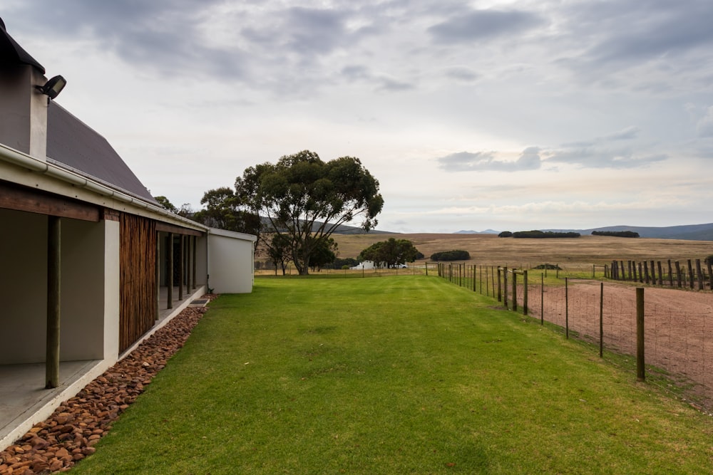 a fenced in yard with a tree and a house