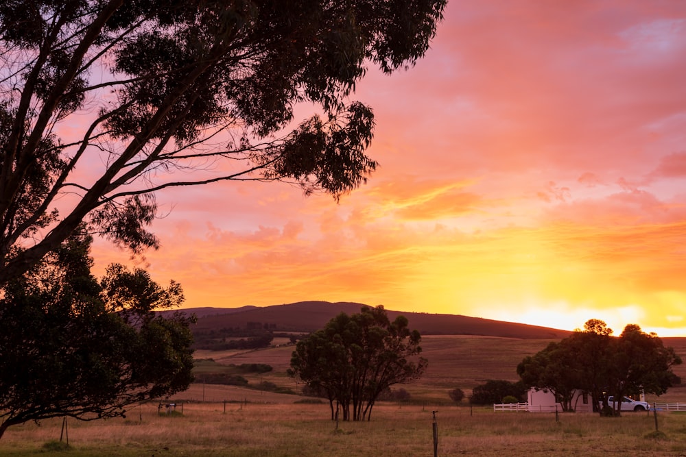 a landscape with trees and a sunset