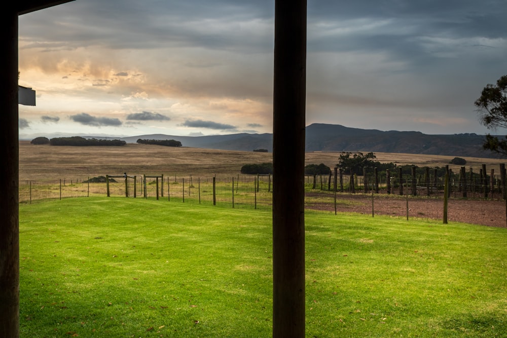 a fenced in field