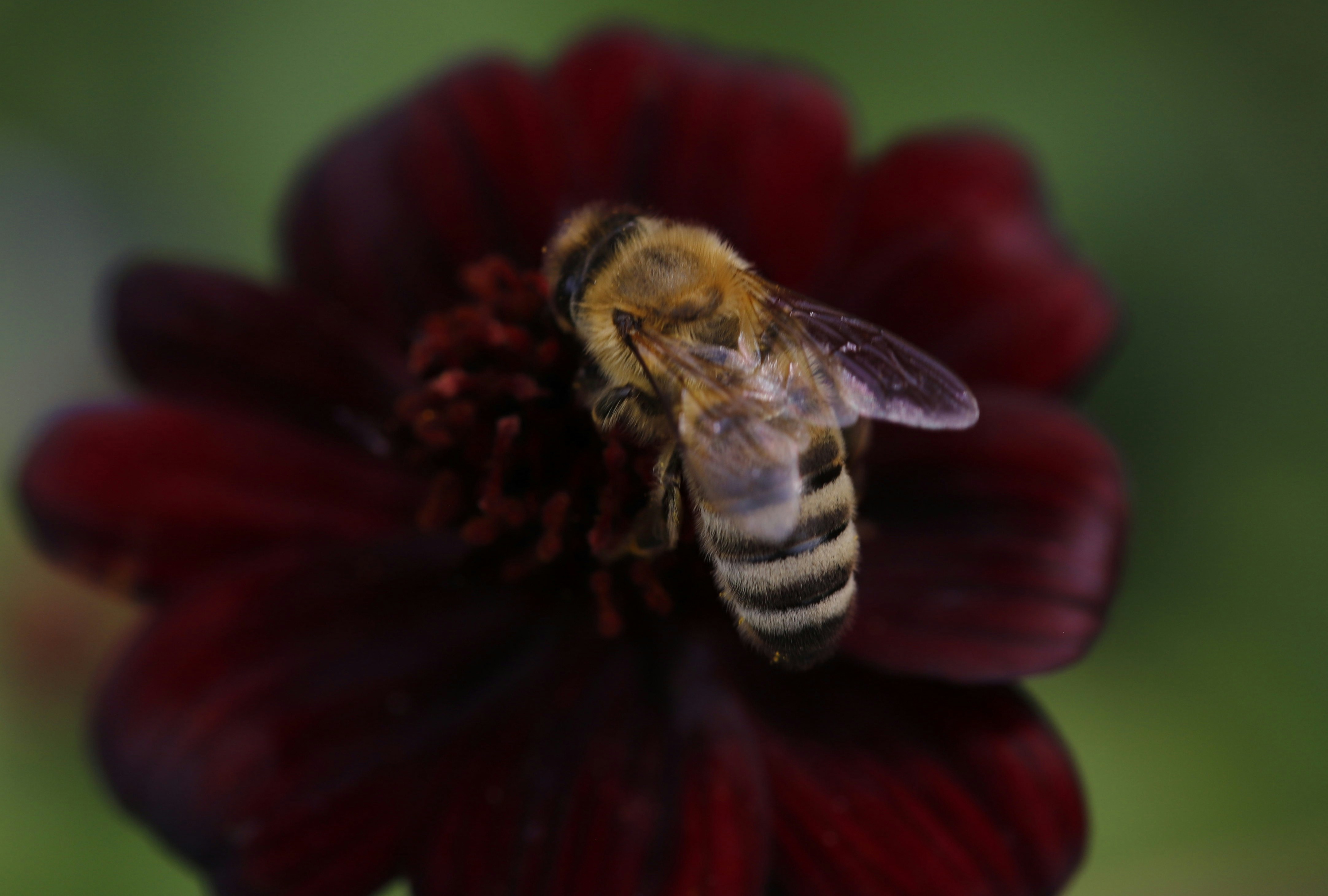 Photo by hdbernd
