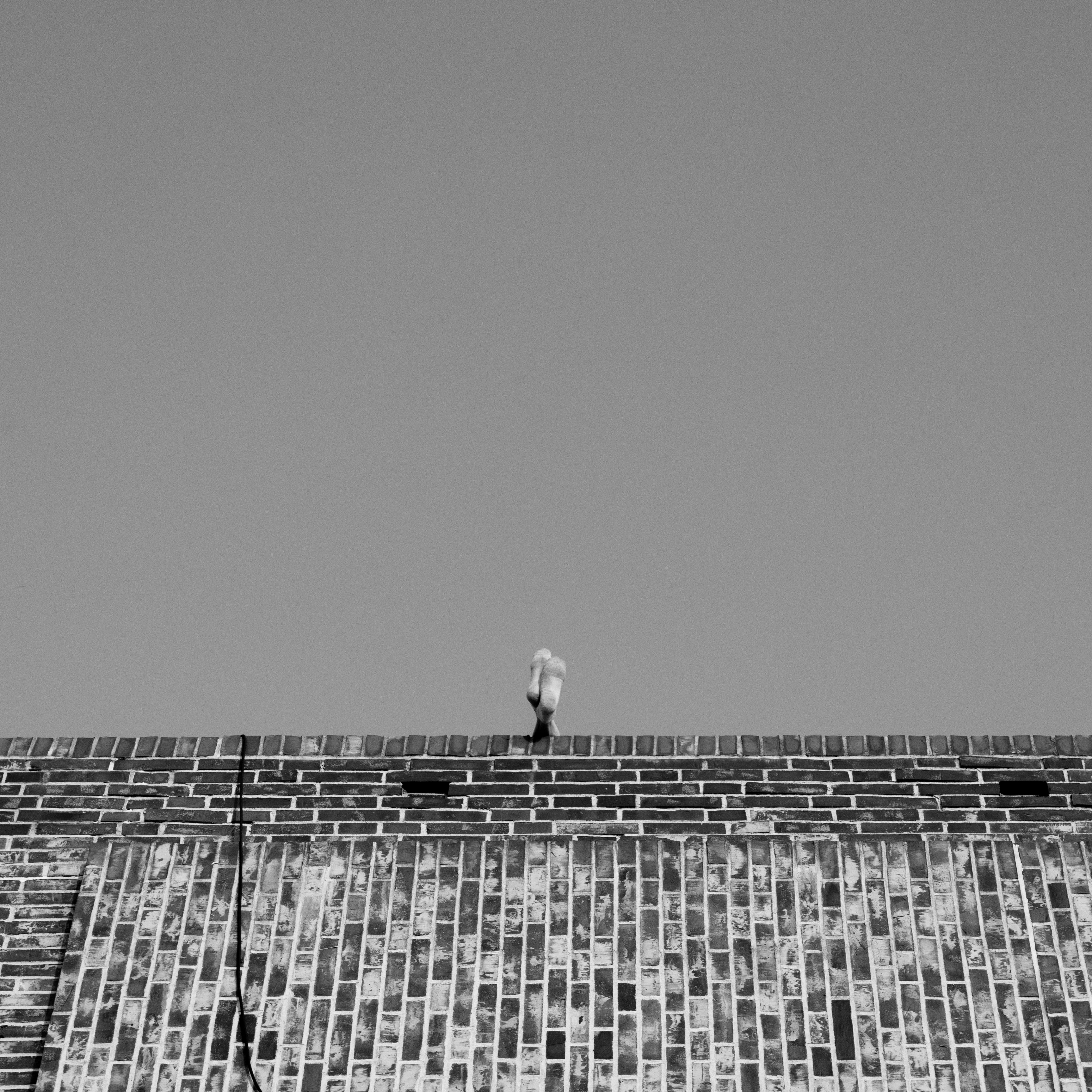 Ein Vogel steht auf einem Dach