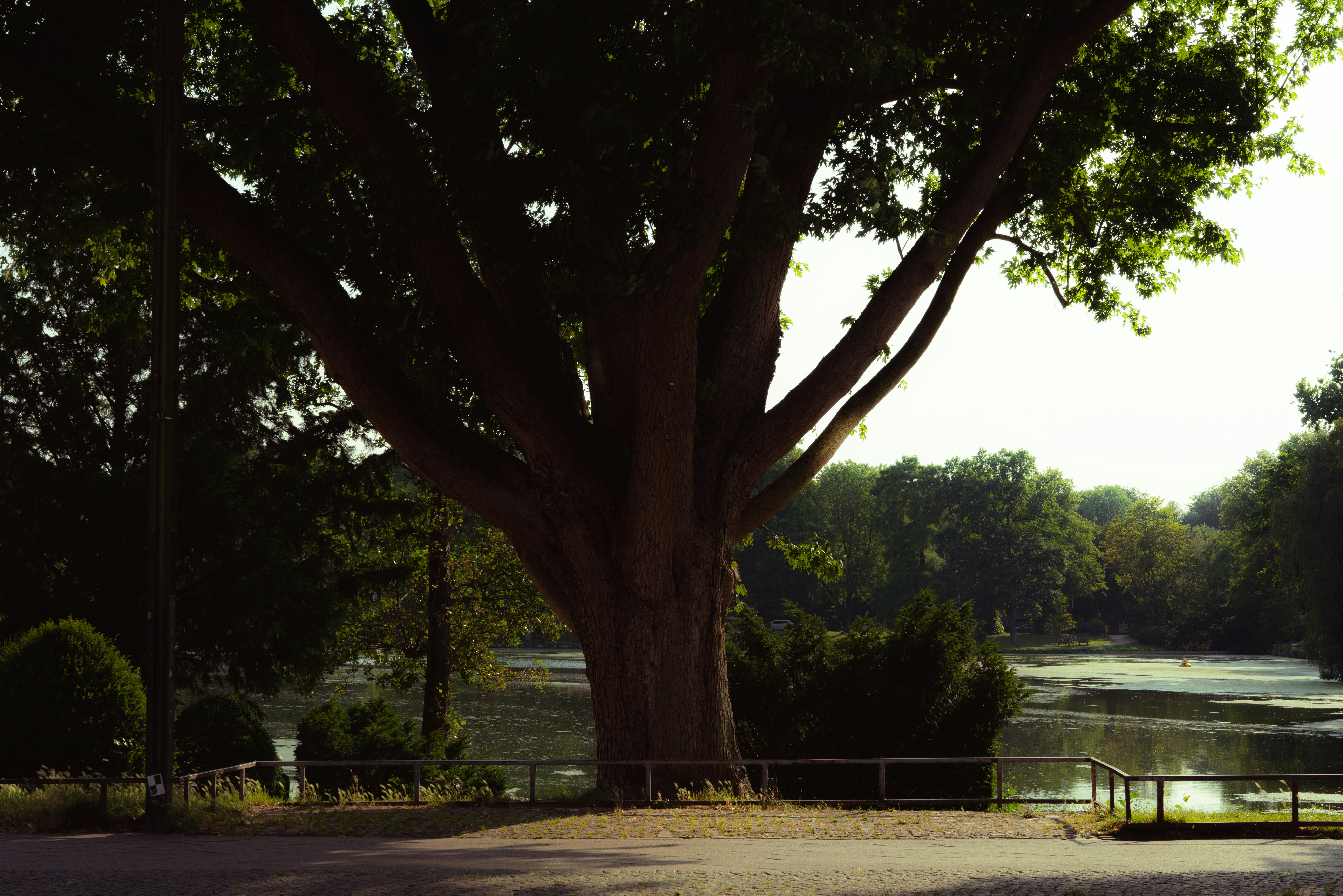 Photo by hyggesalpaka