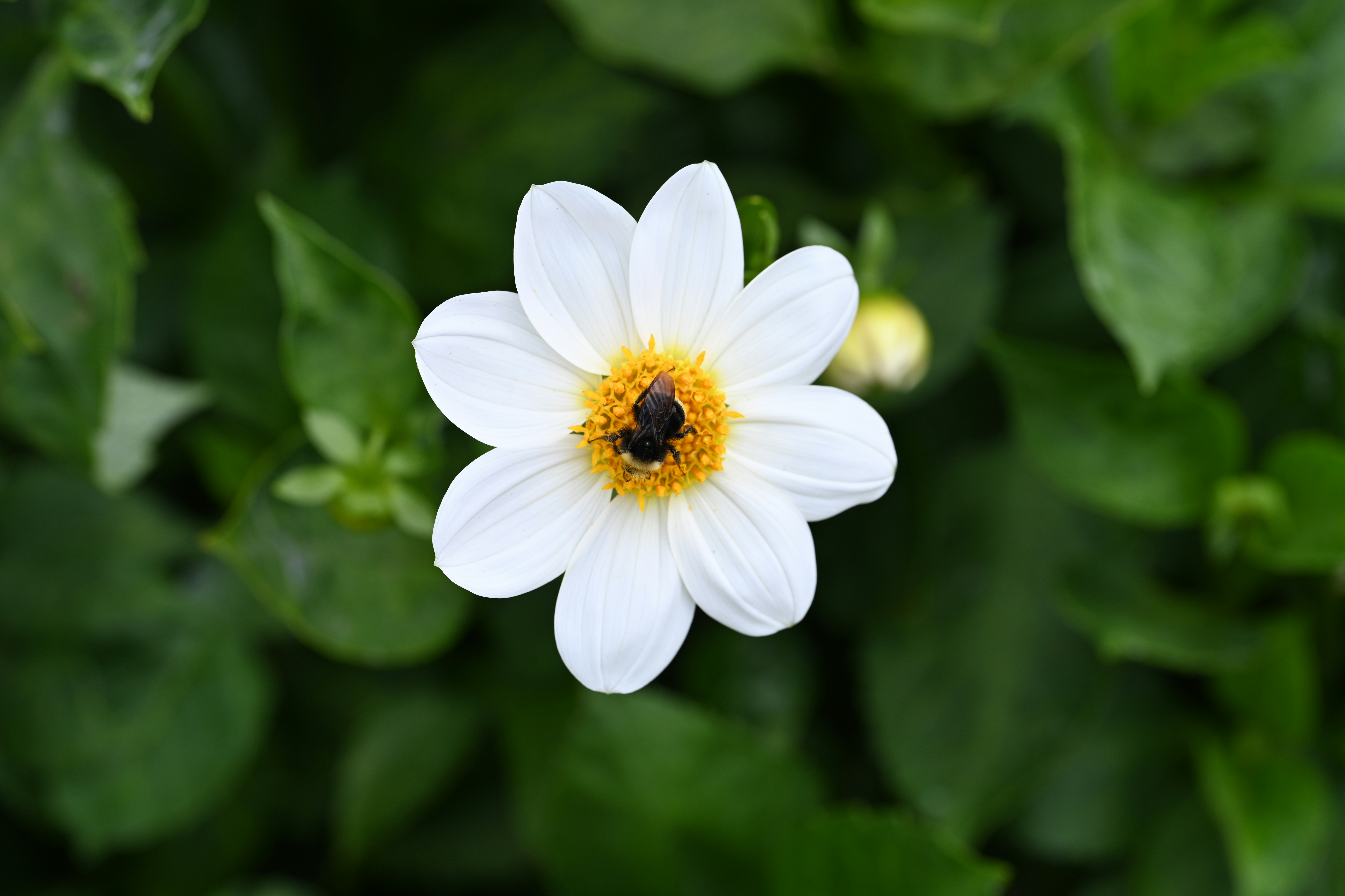 Photo by theunknownaldiaz