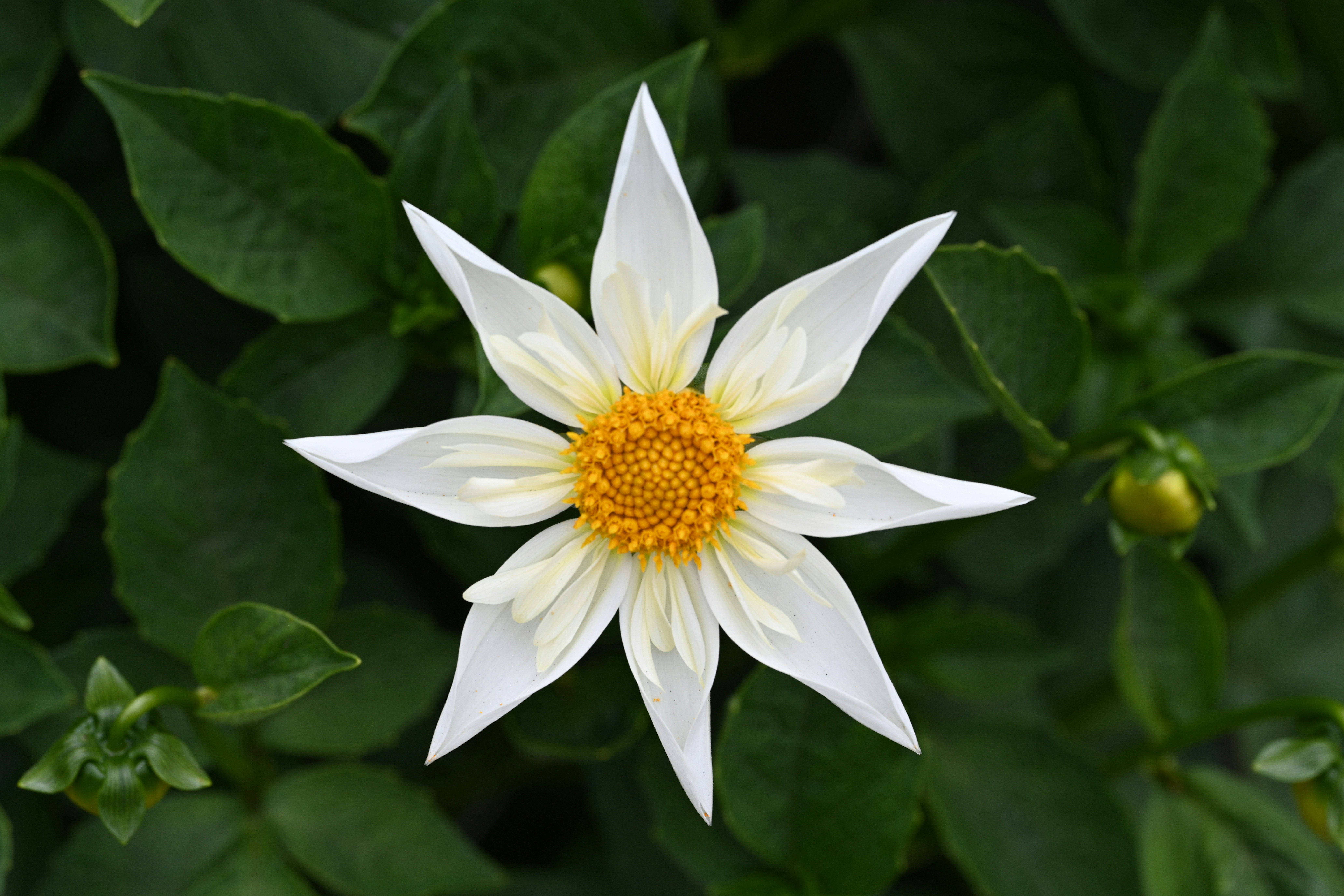 Photo by theunknownaldiaz