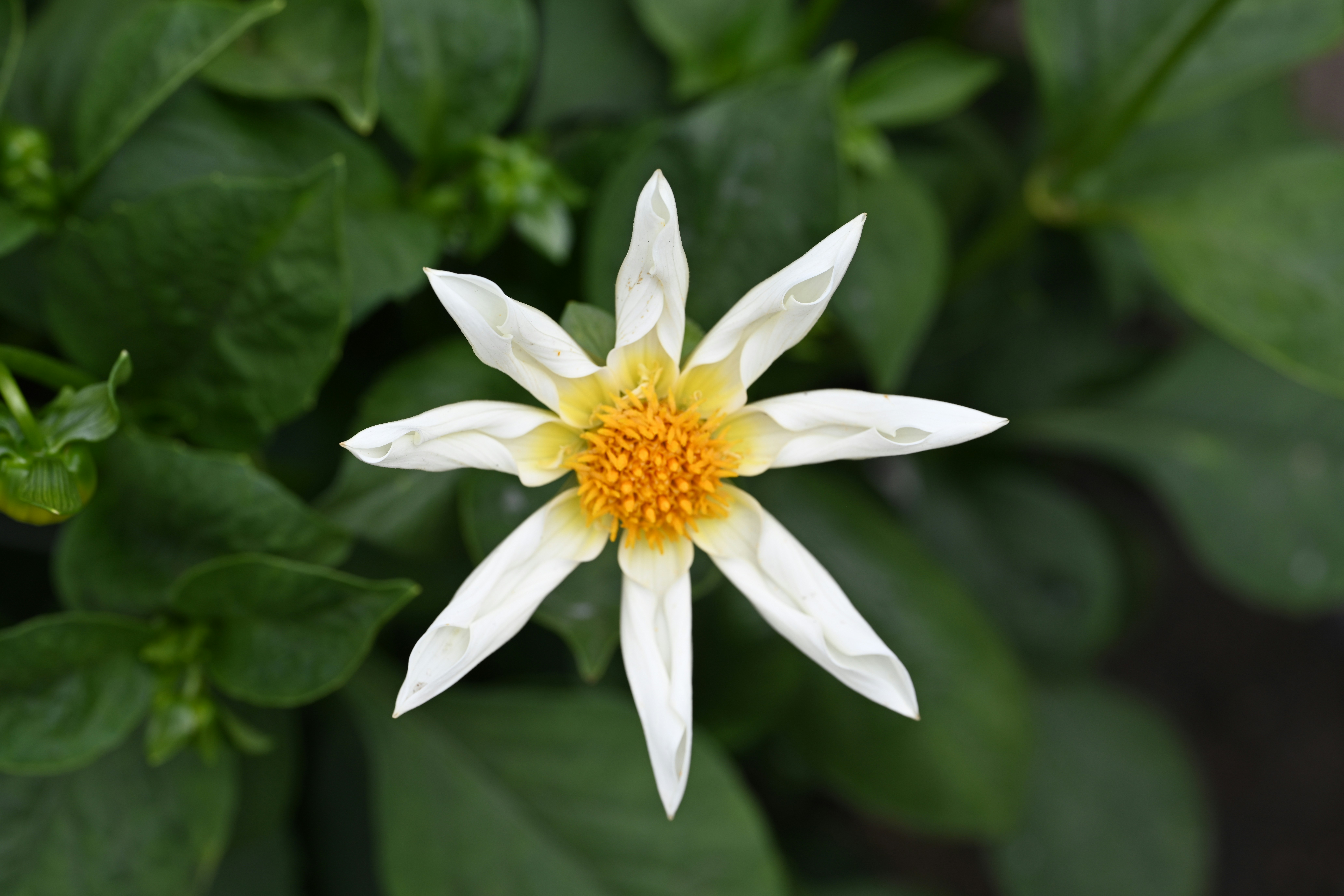 Photo by theunknownaldiaz