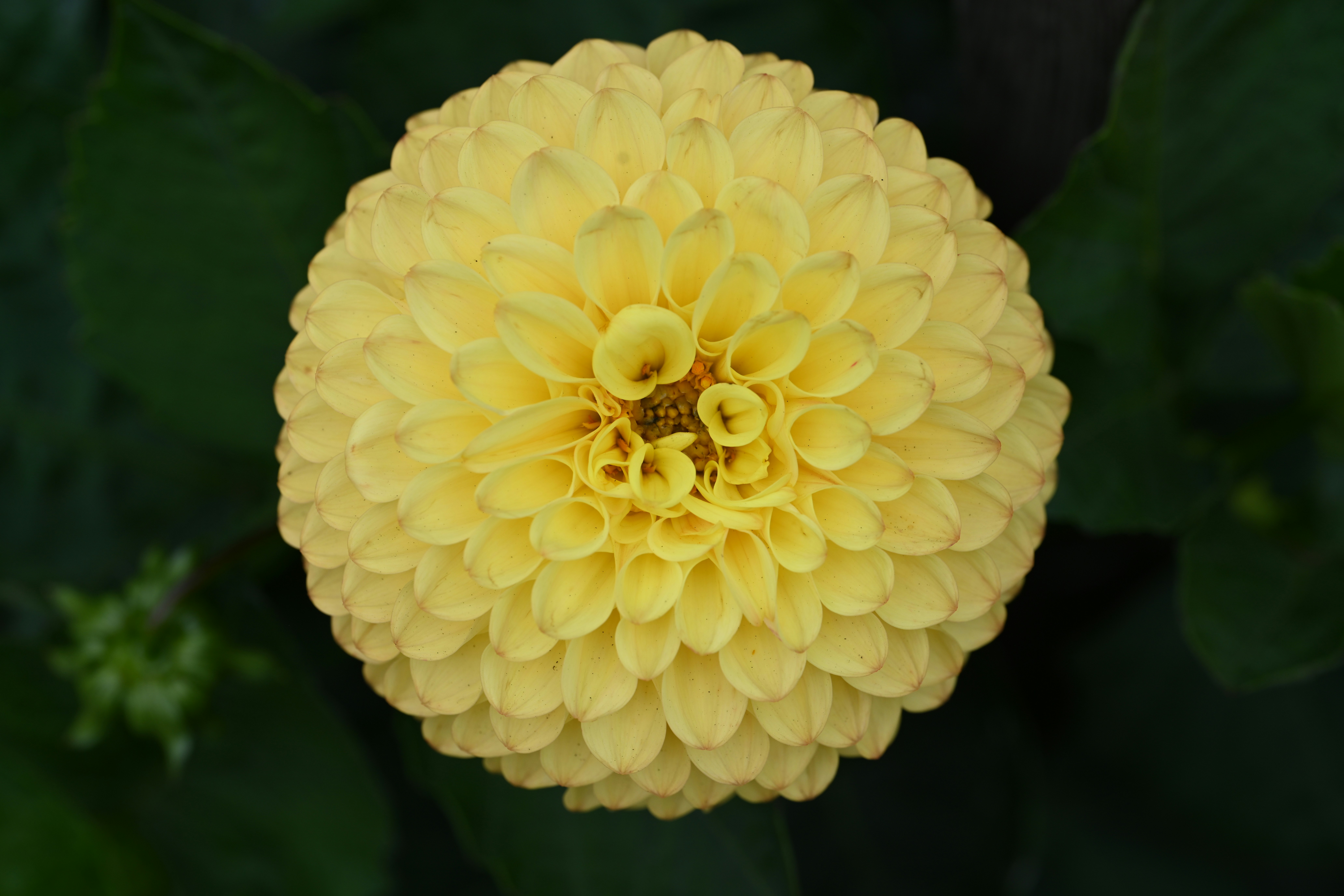 Photo by theunknownaldiaz