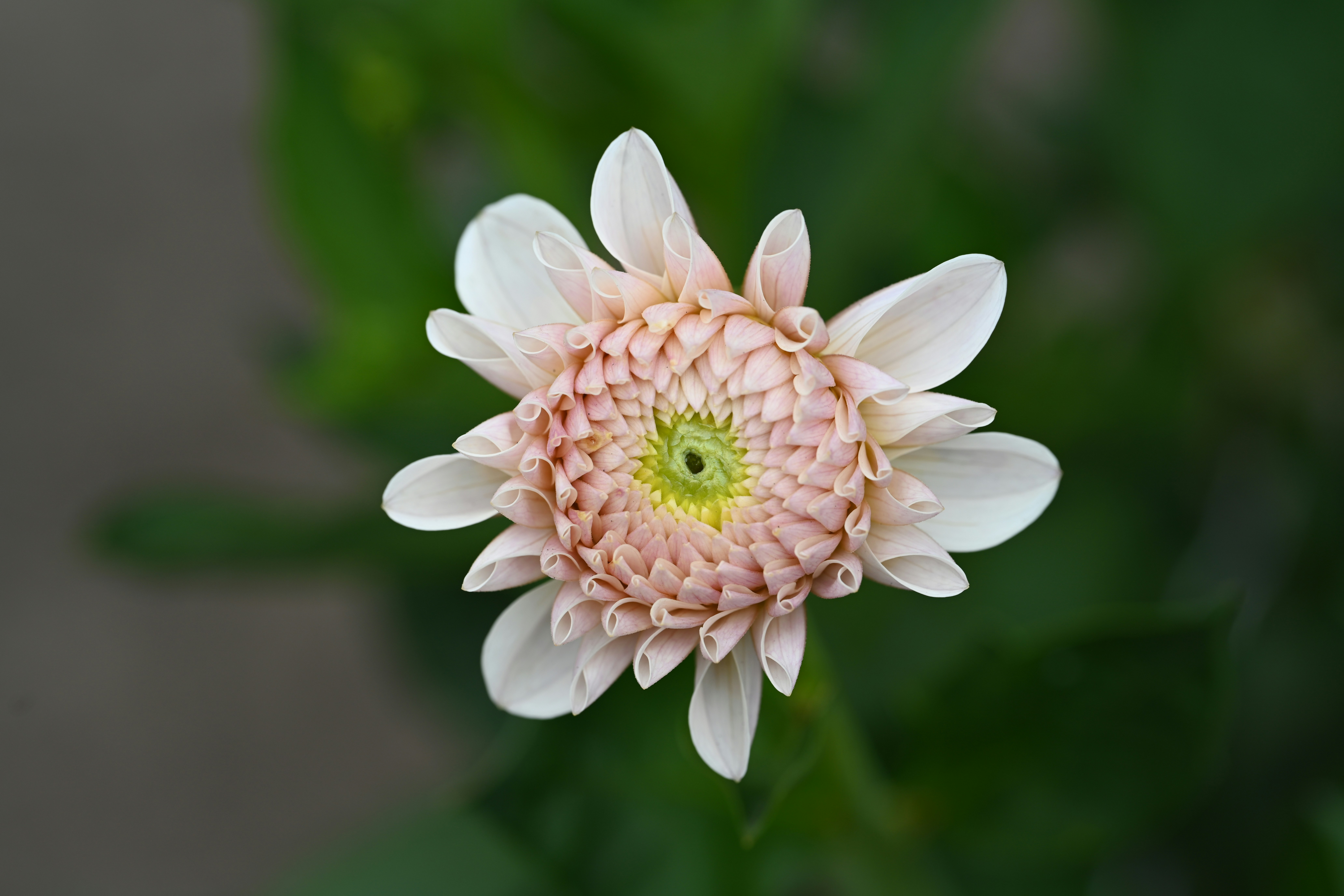 Photo by theunknownaldiaz