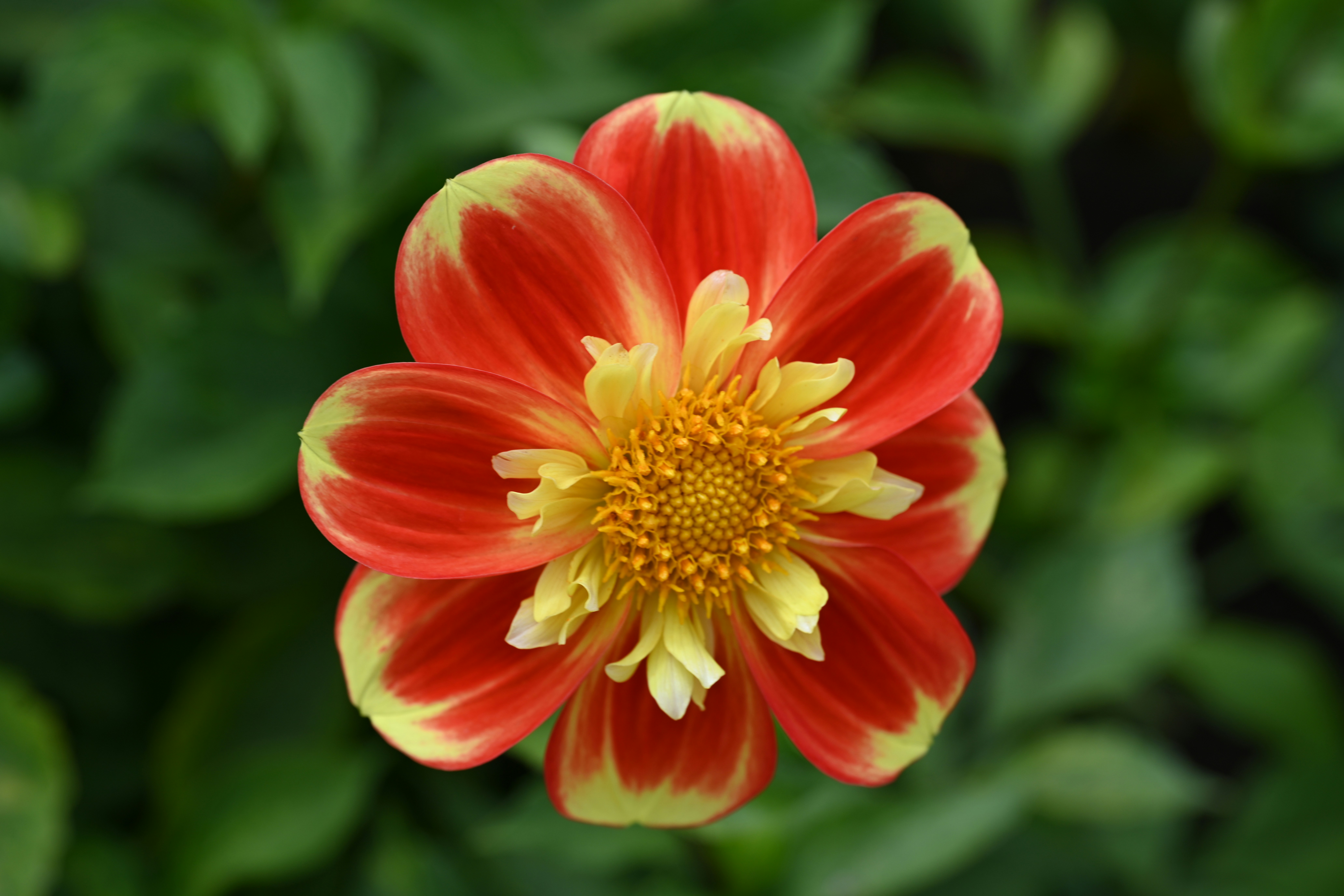 Photo by theunknownaldiaz