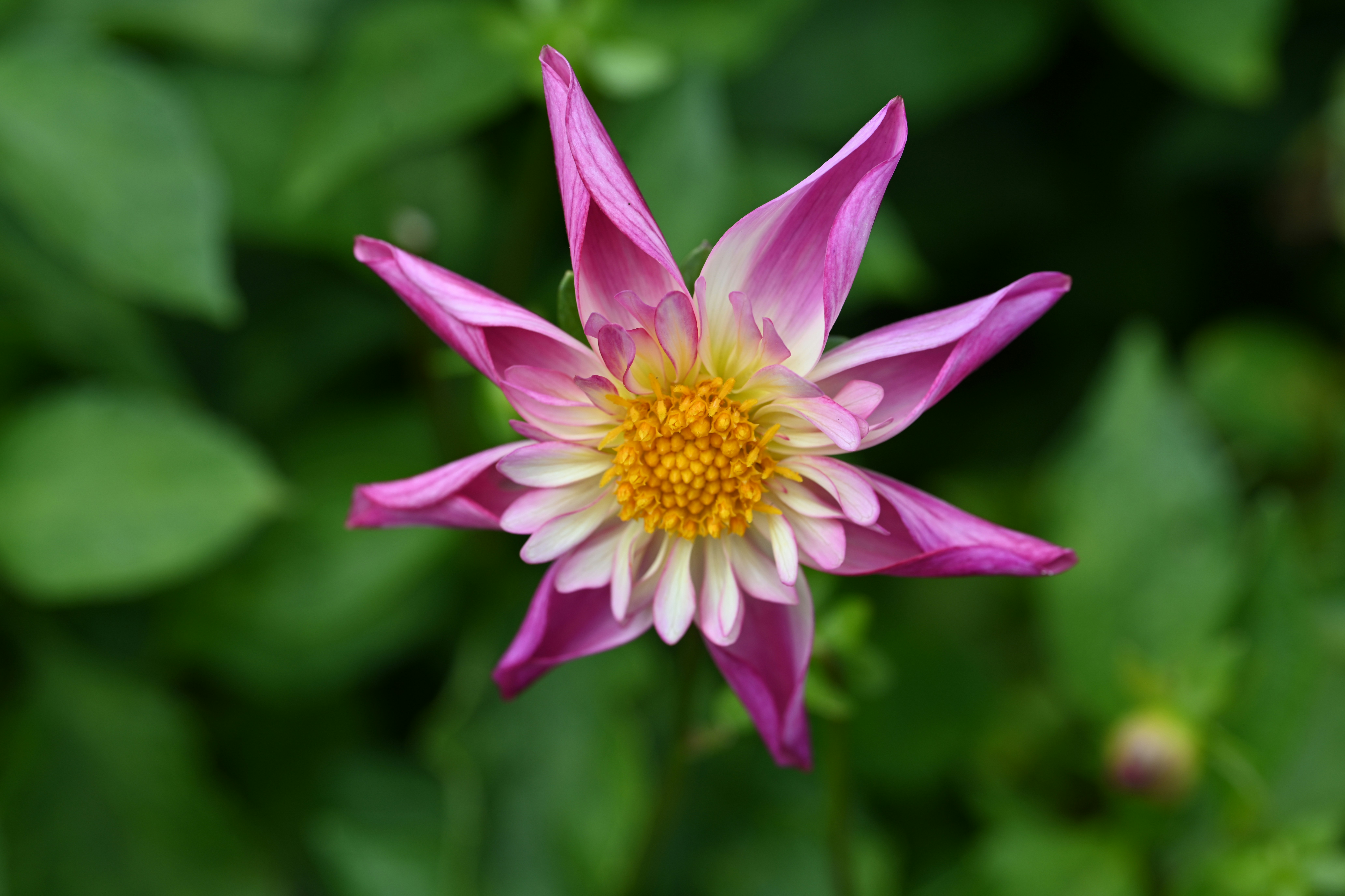 Photo by theunknownaldiaz