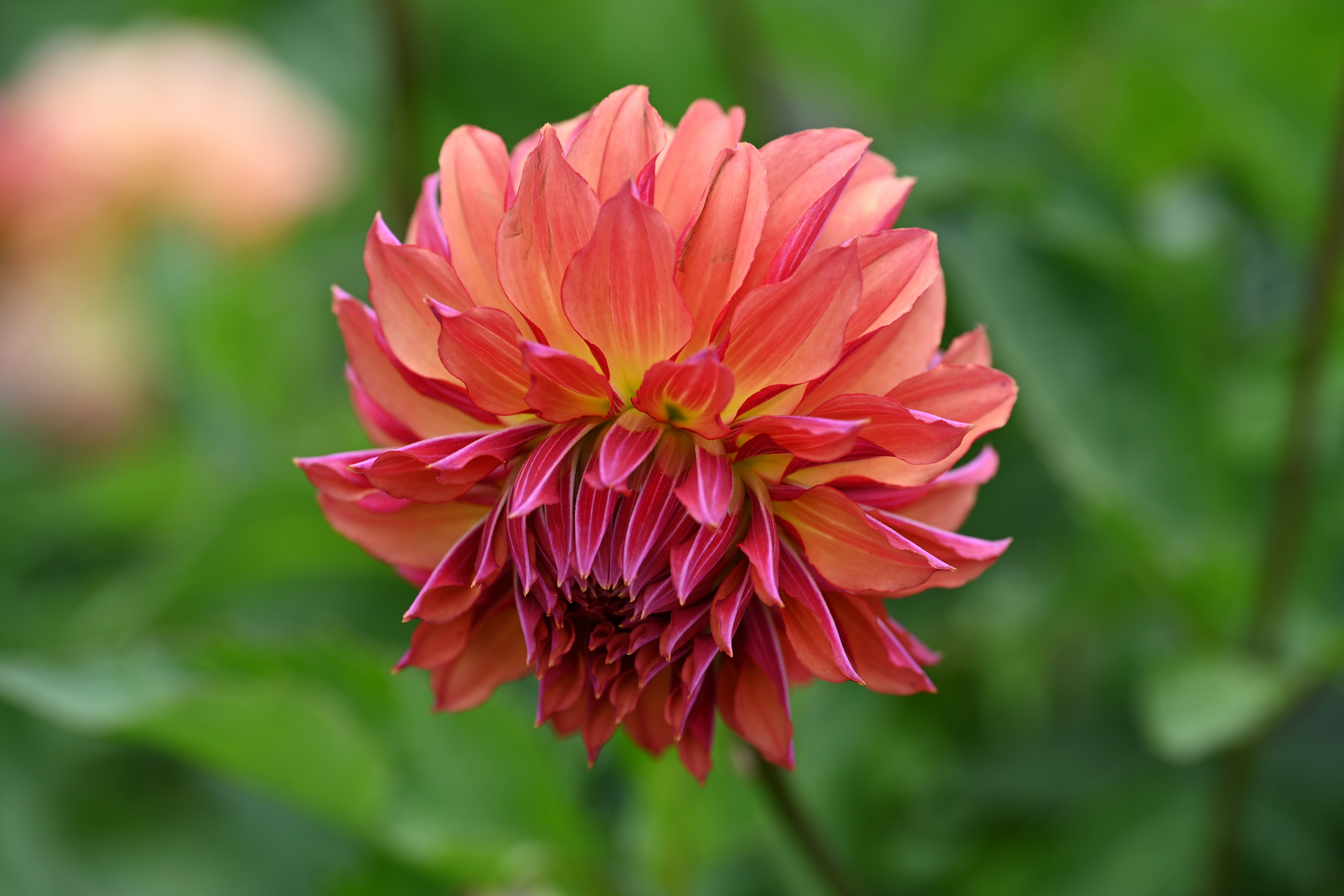 Photo by theunknownaldiaz