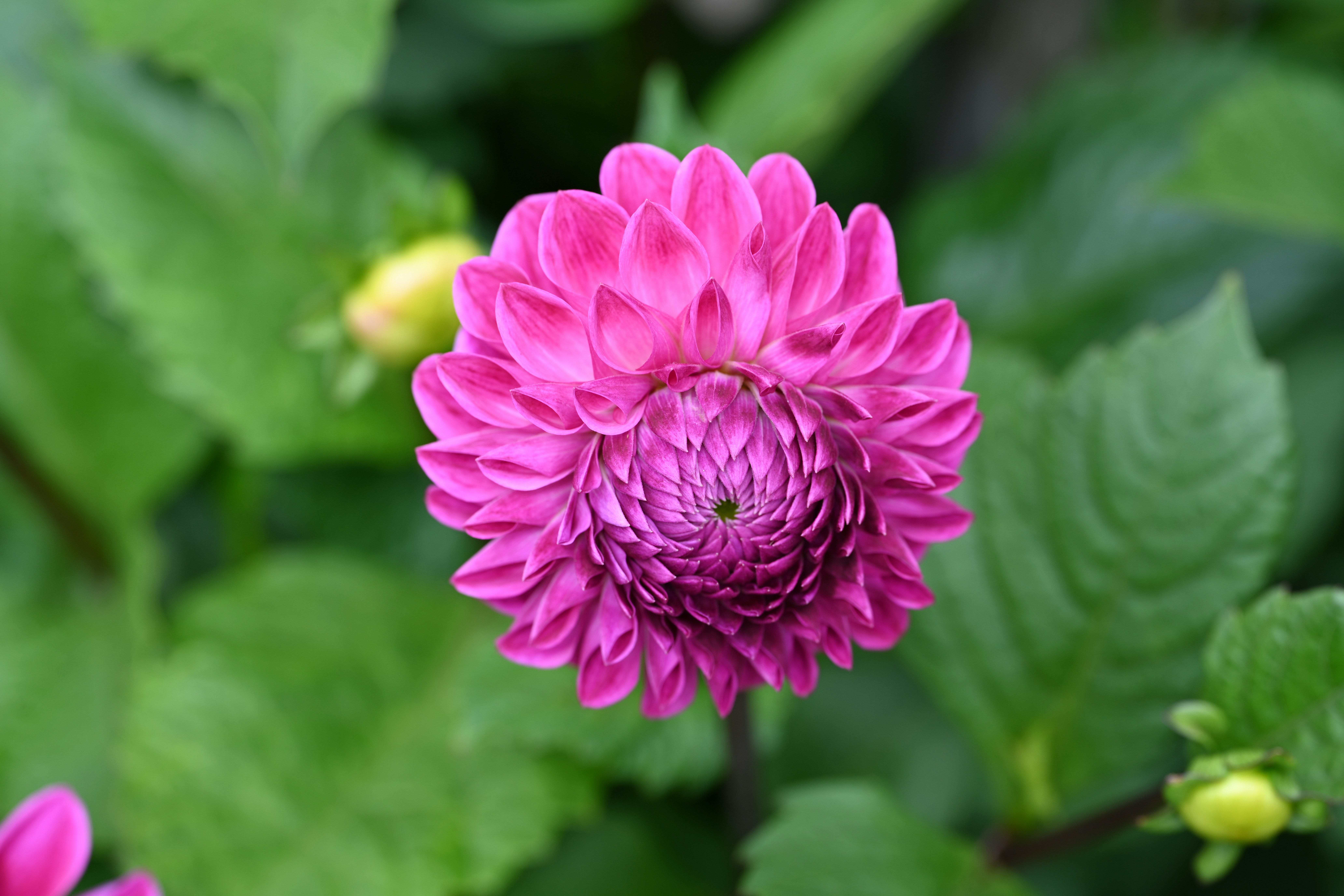 Photo by theunknownaldiaz