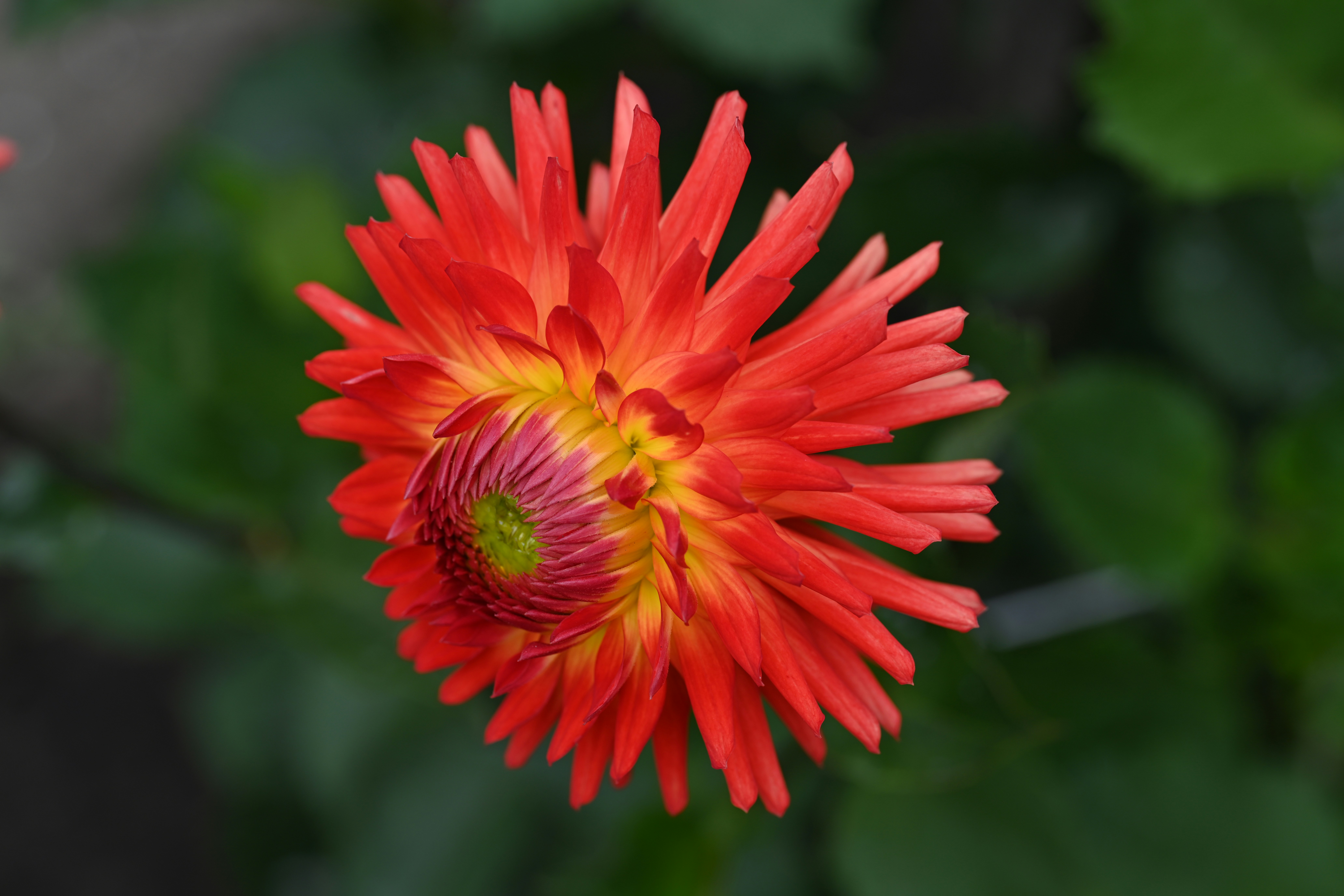 Photo by theunknownaldiaz