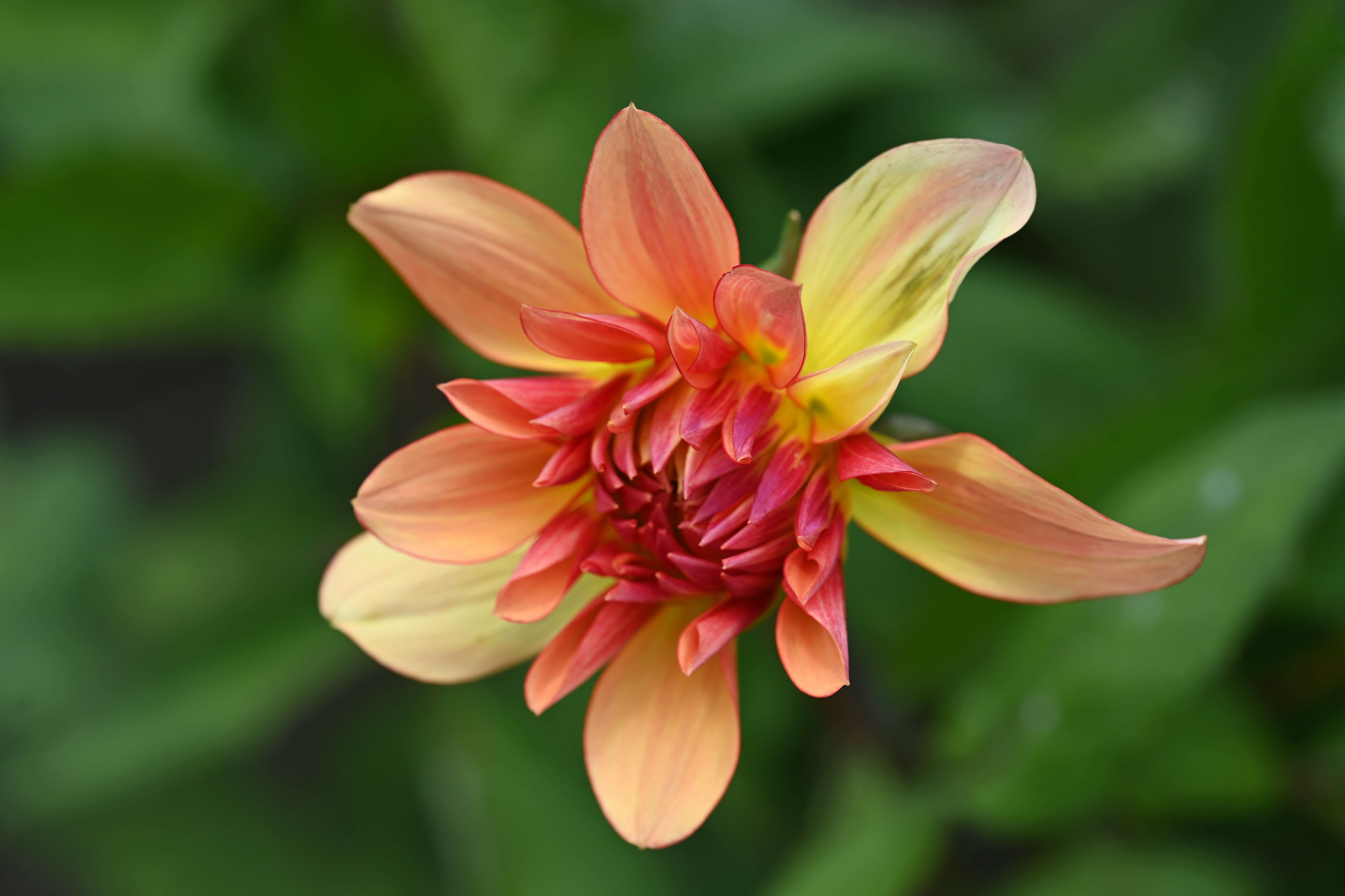 Photo by theunknownaldiaz