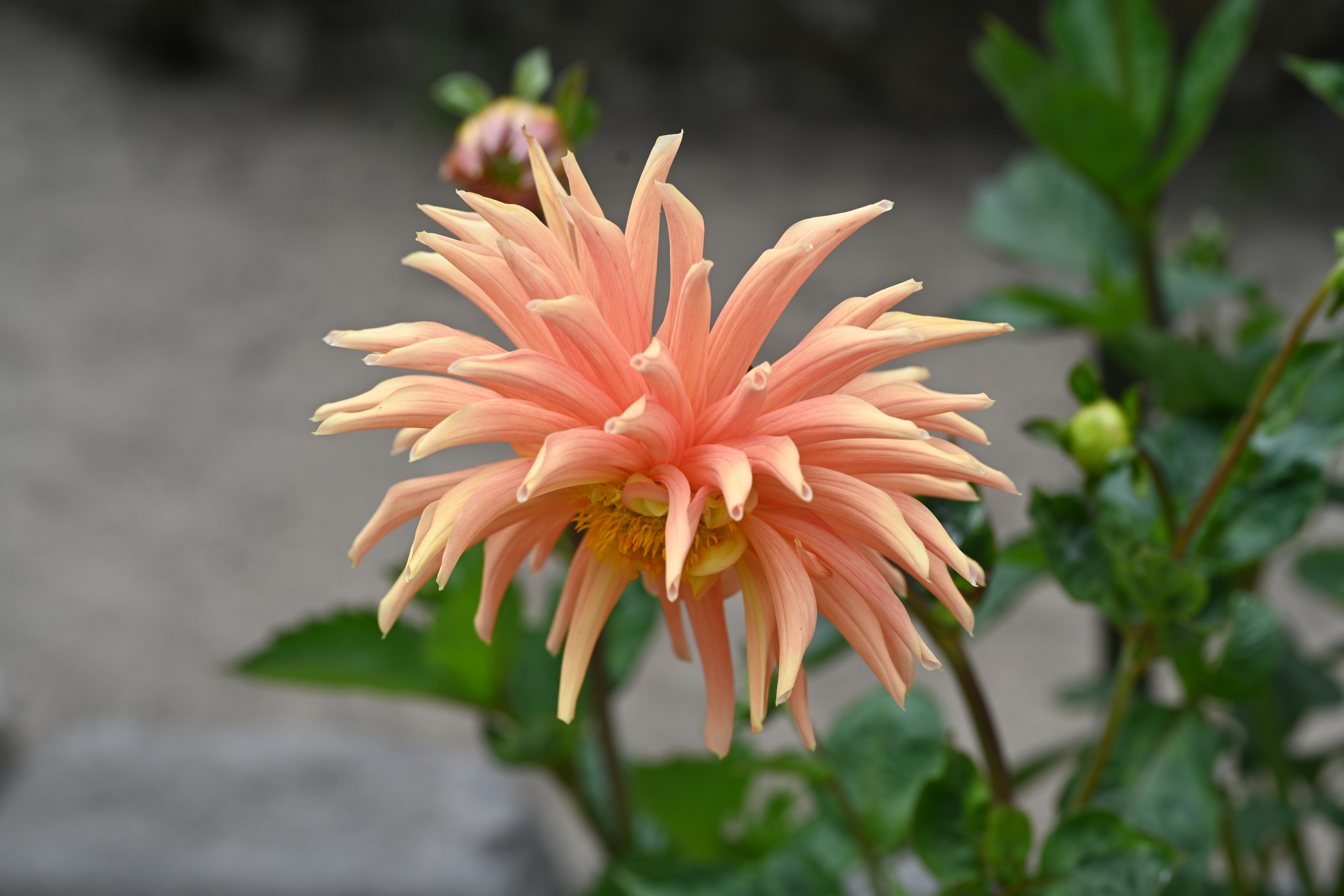 Photo by theunknownaldiaz