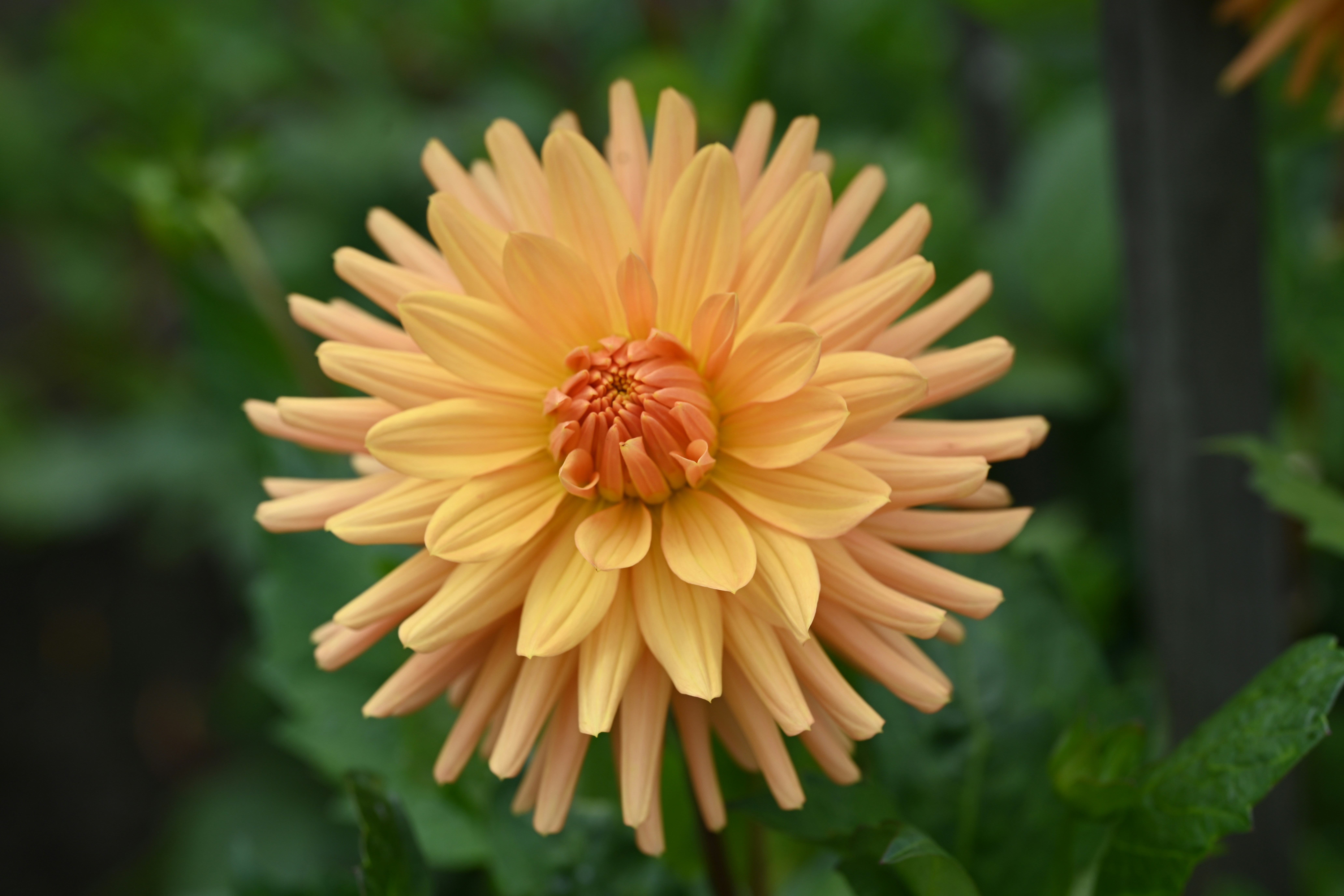 Photo by theunknownaldiaz