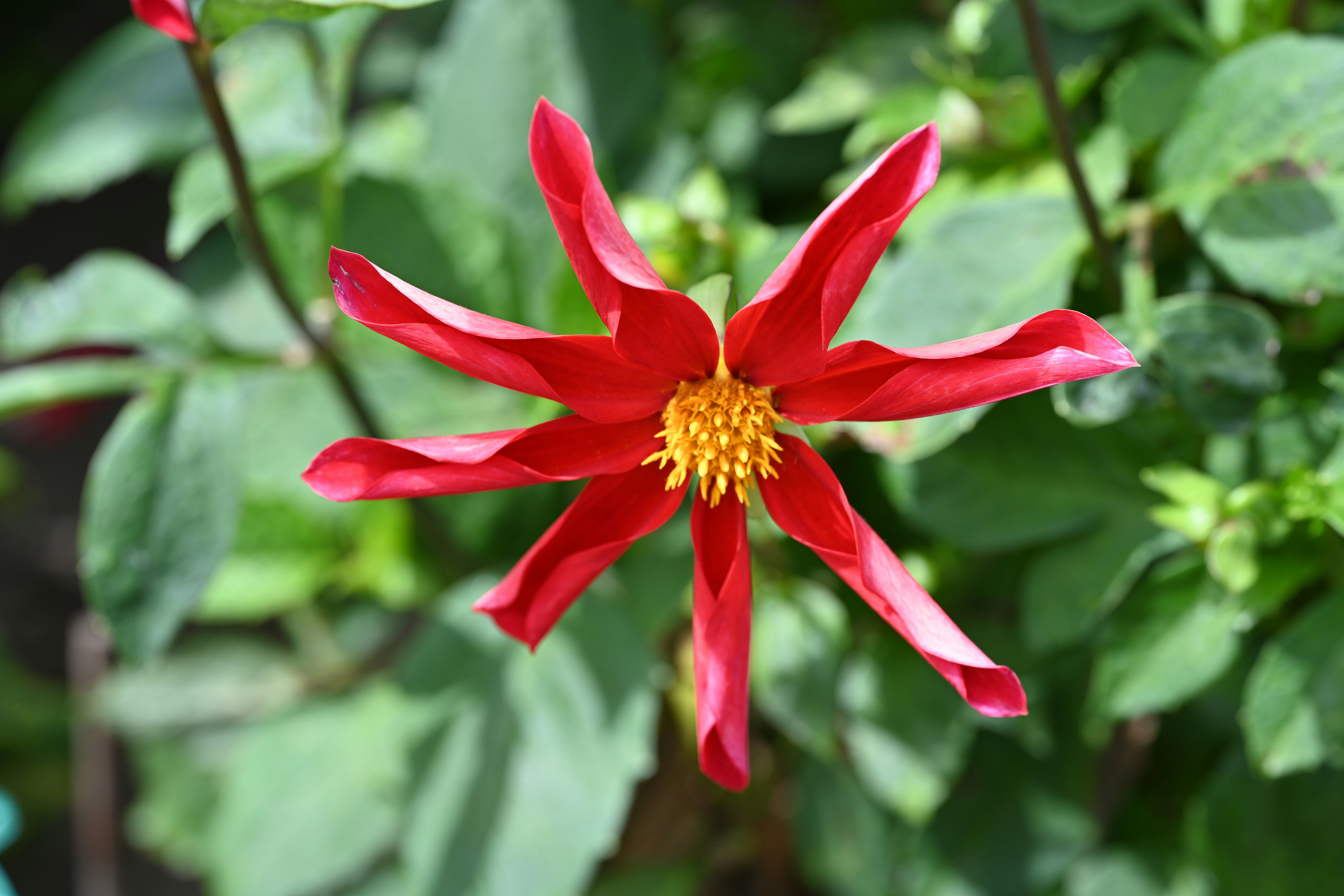 Photo by theunknownaldiaz