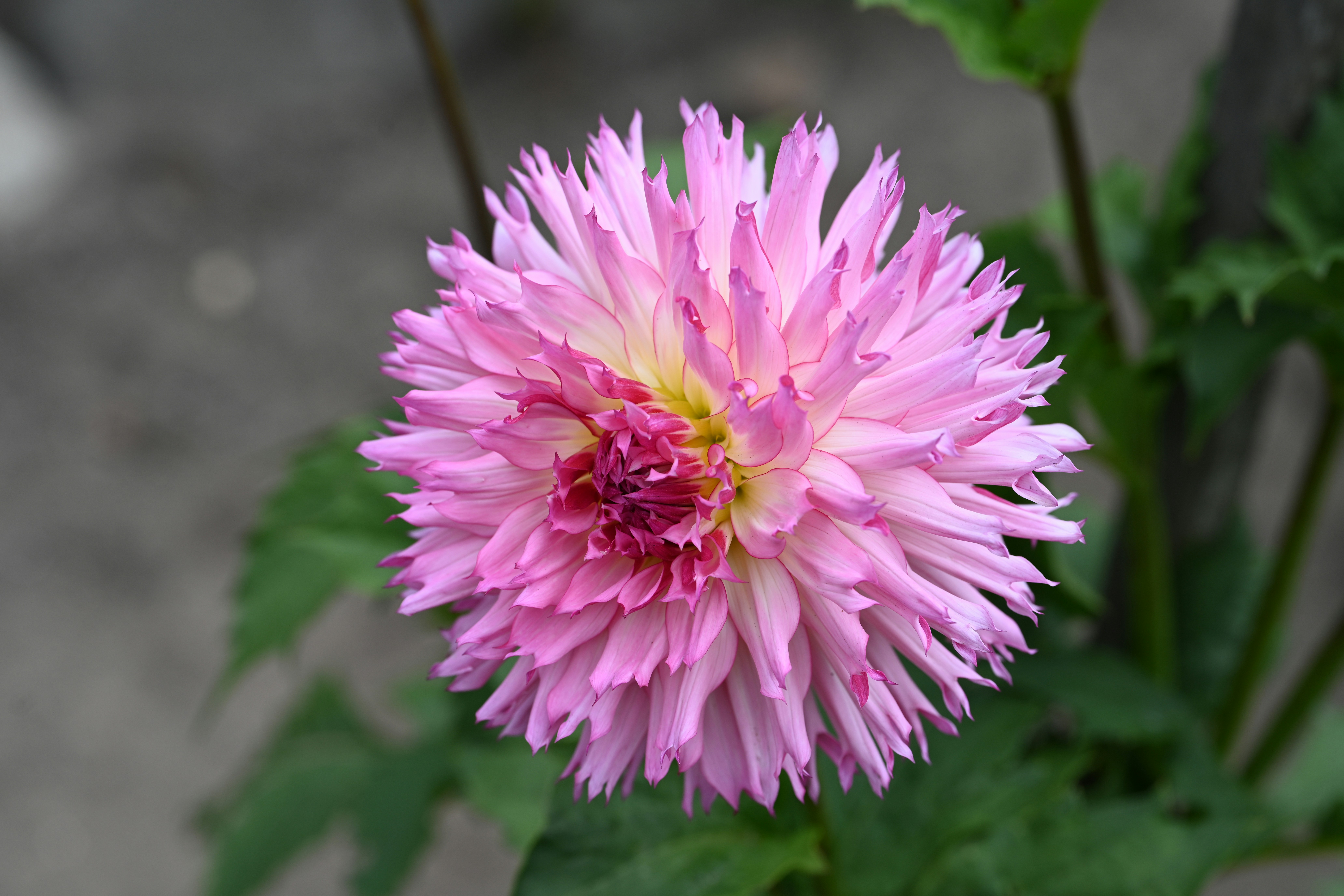 Photo by theunknownaldiaz