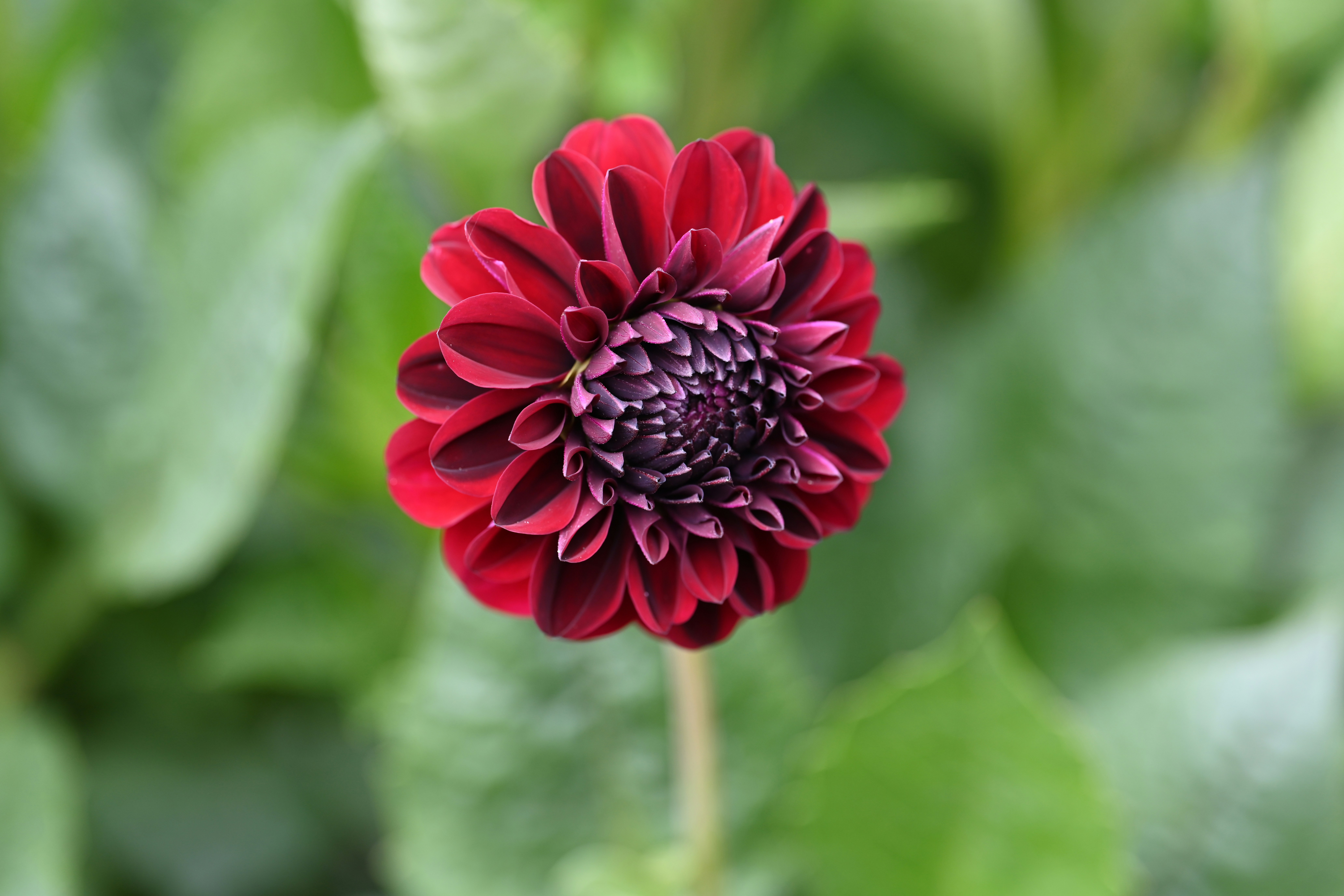 Photo by theunknownaldiaz