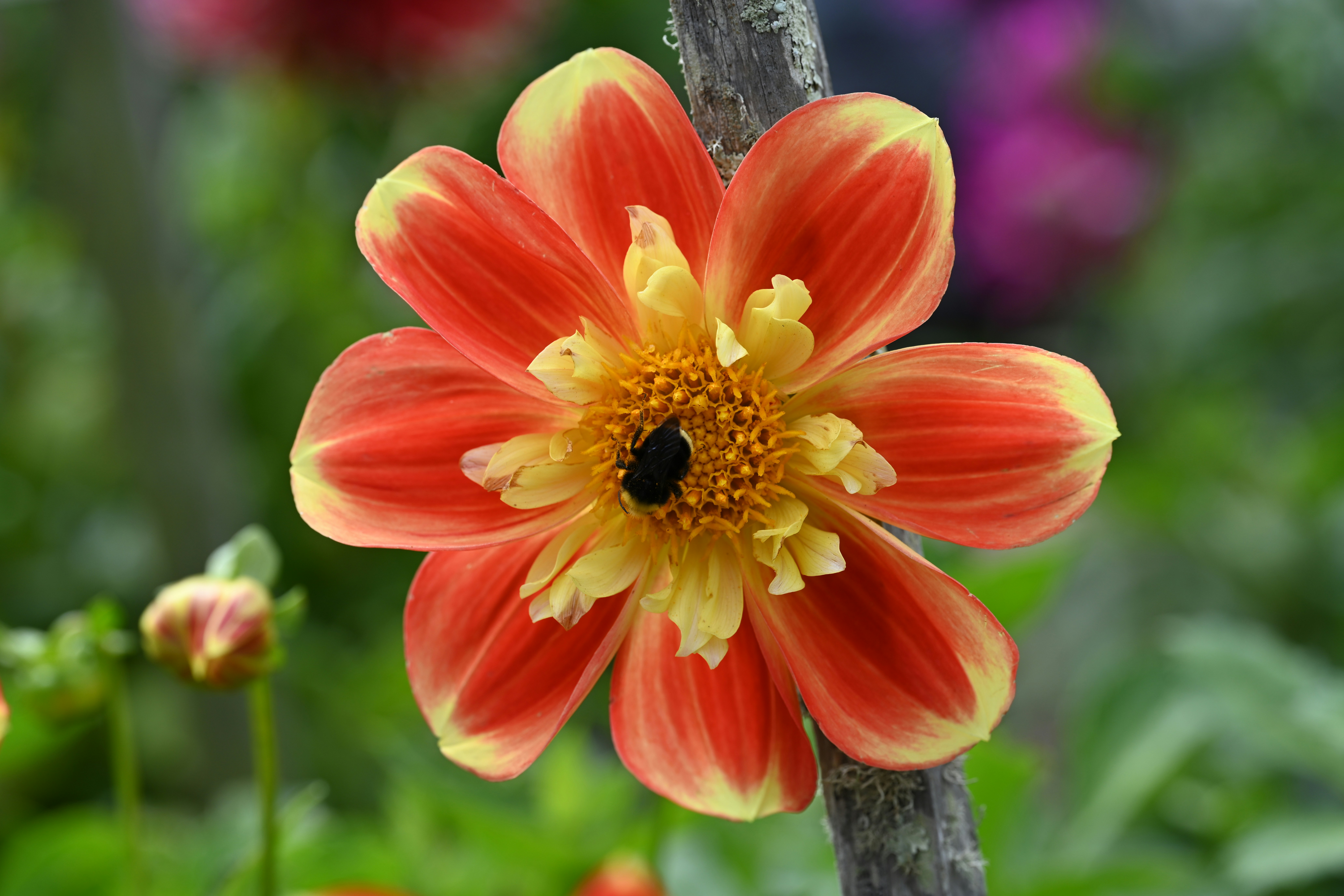 Photo by theunknownaldiaz