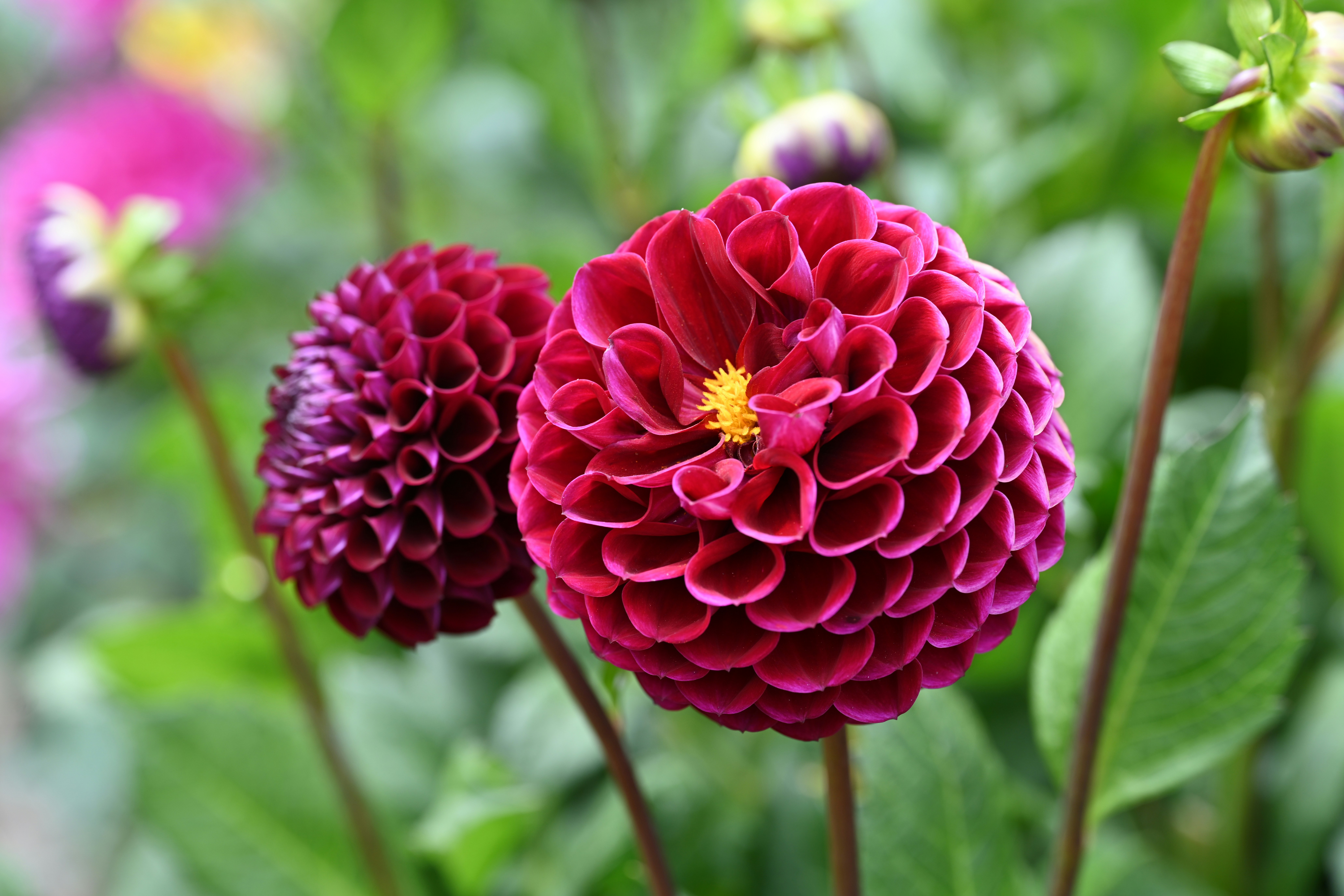 Photo by theunknownaldiaz