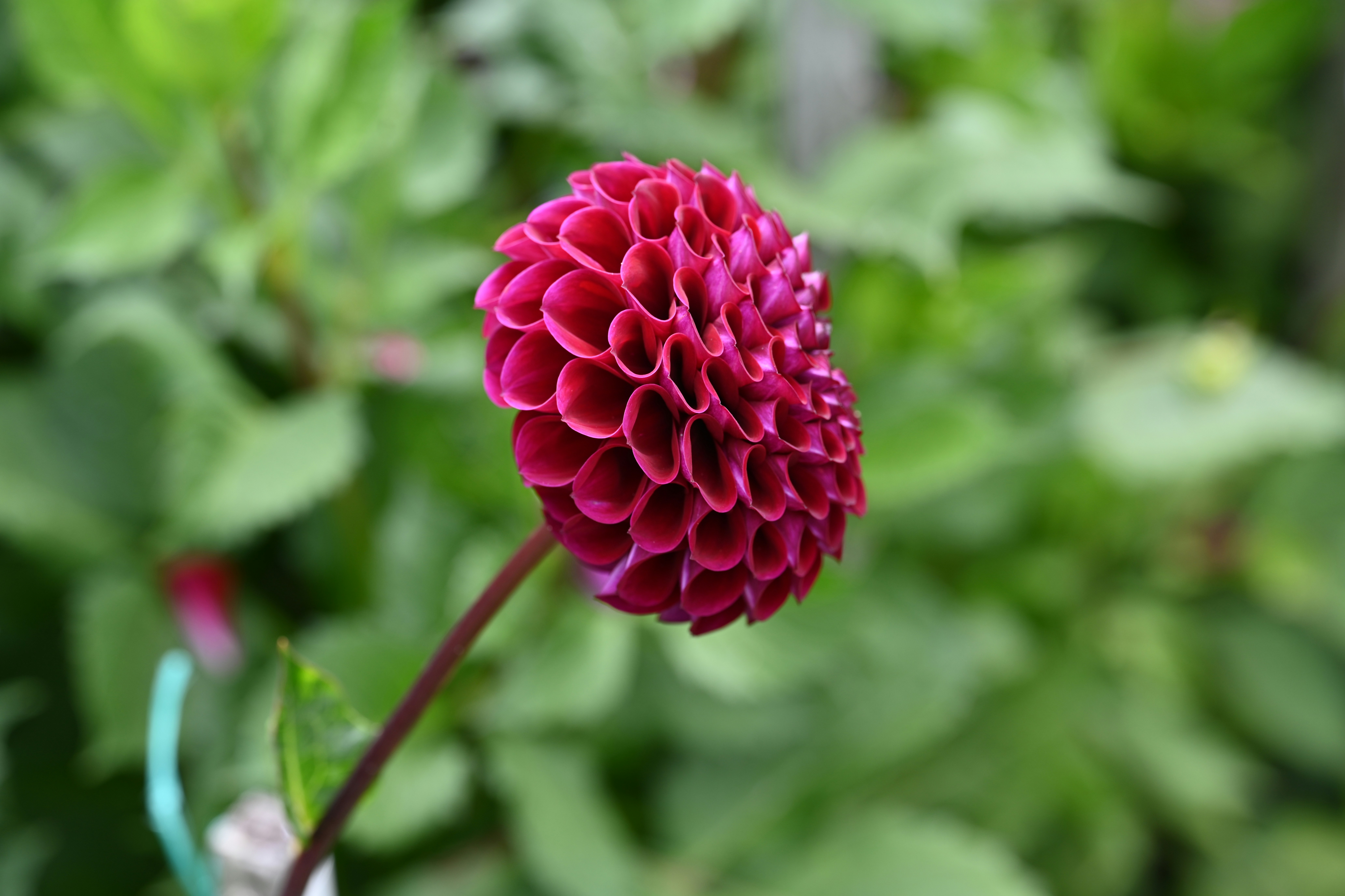 Photo by theunknownaldiaz