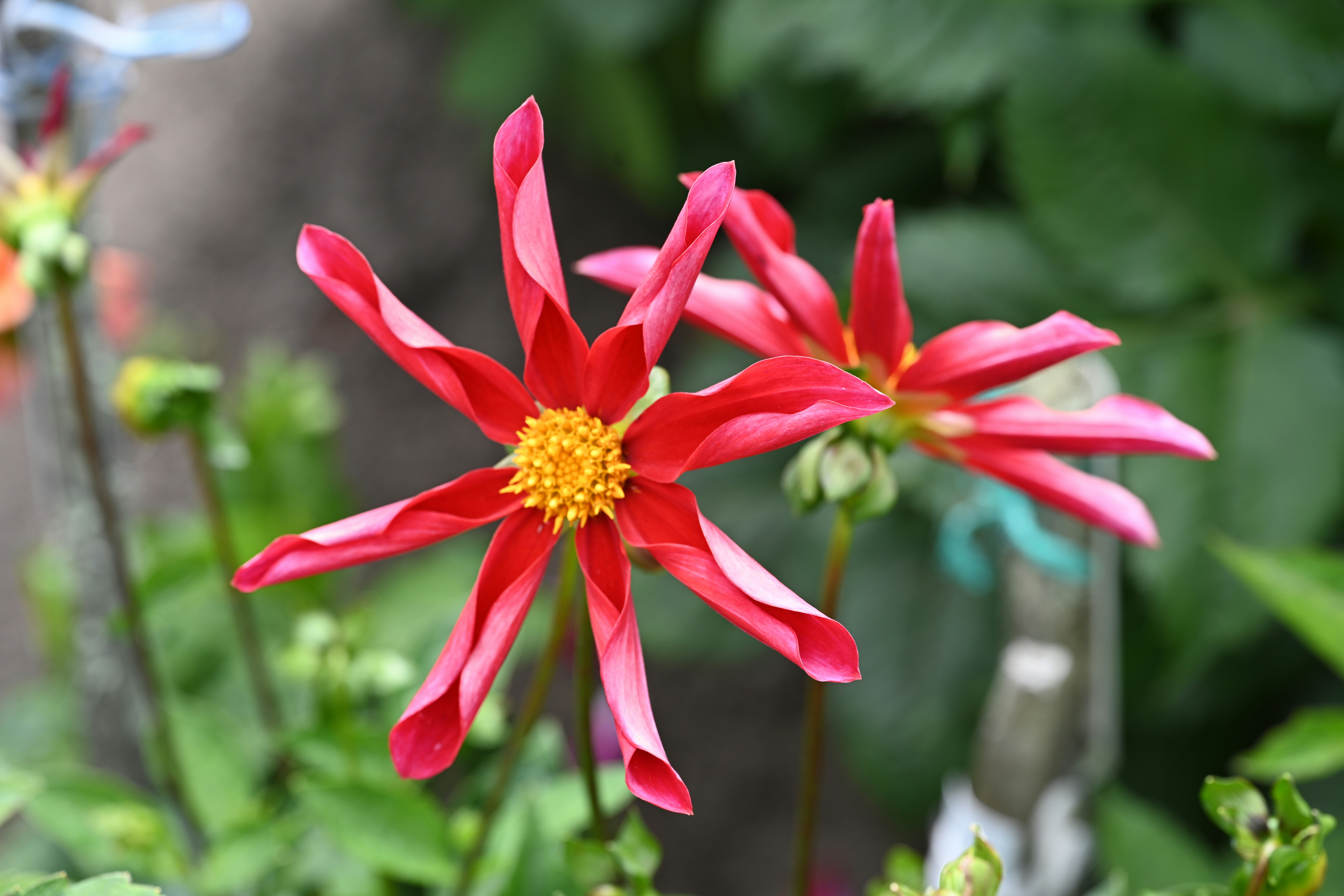 Photo by theunknownaldiaz